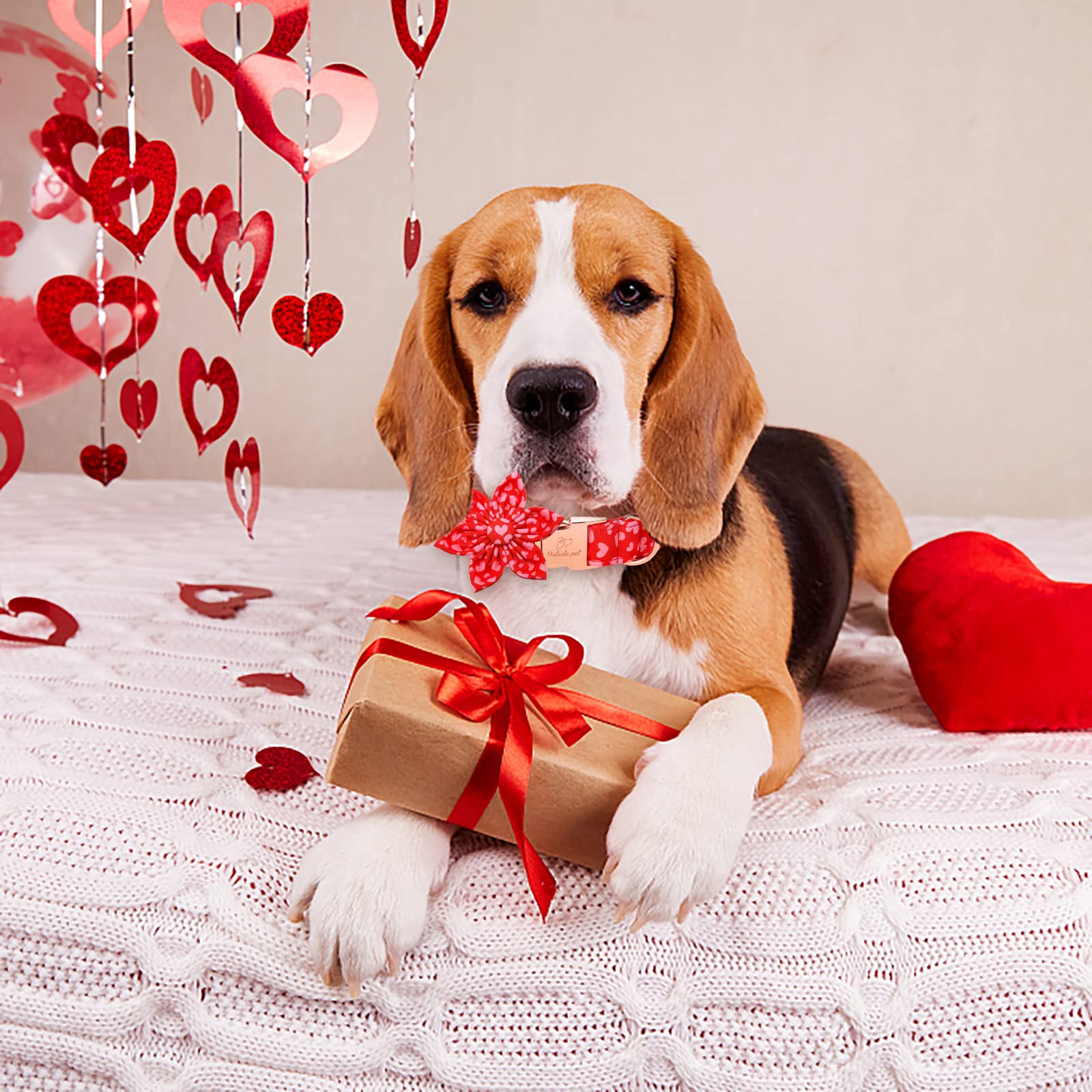 Babole Pet Valentine'S Day Dog Collar With Flower Tie, Pink Red Love Male Dog Collar With Safety Metal Buckle Adjustable Puppy Collars For Small Medium Large Boy & Girl Dog,Xs-Neck 8'-12'