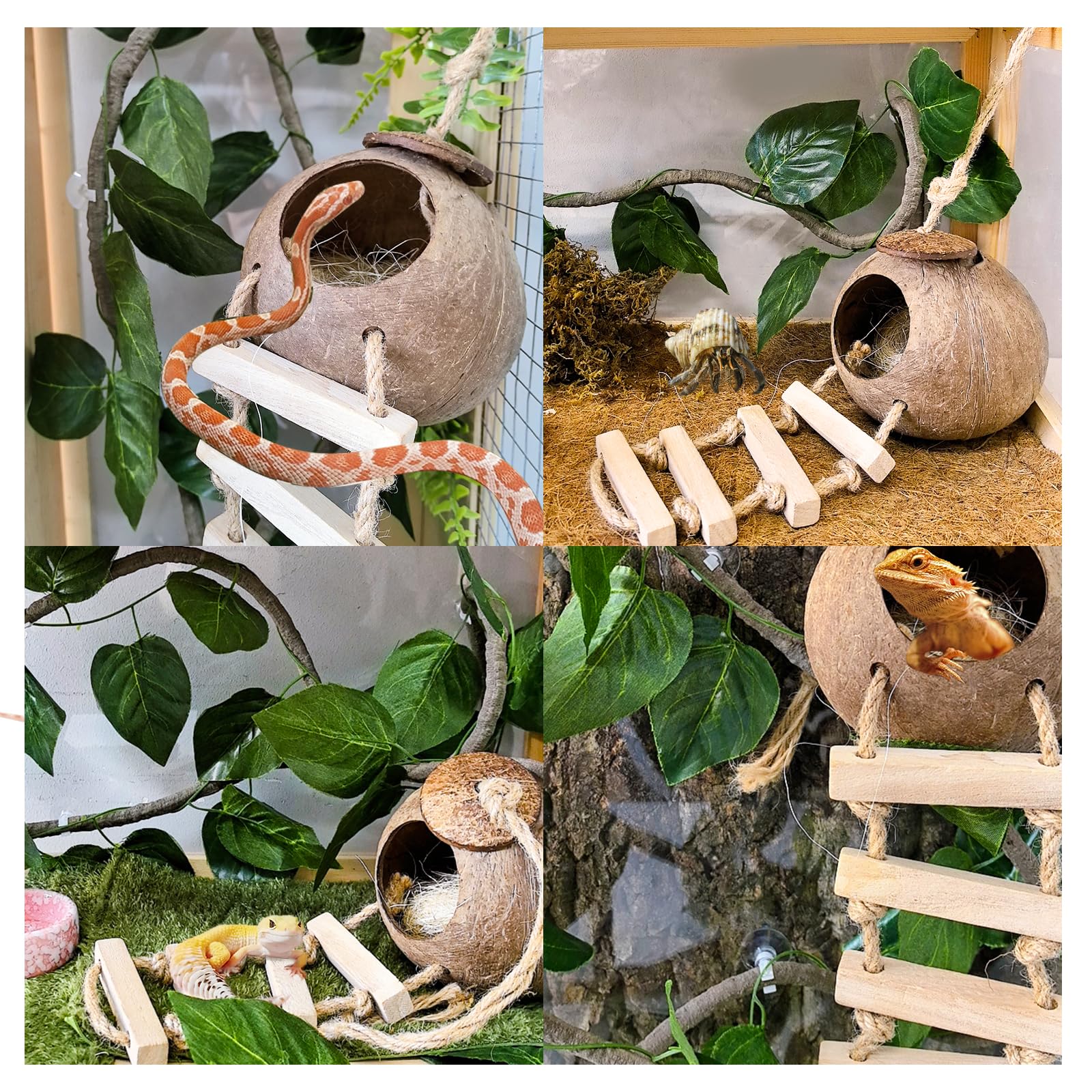 Tfwadmx Crested Gecko Coconut Hide,Leopard Gecko Coco Hut Hideout Cave With Ladder,Reptile Hanging Coconut Hut & Climbing Vine,Ideal Habitat Accessory For Hermit Crab, Snake,Lizard