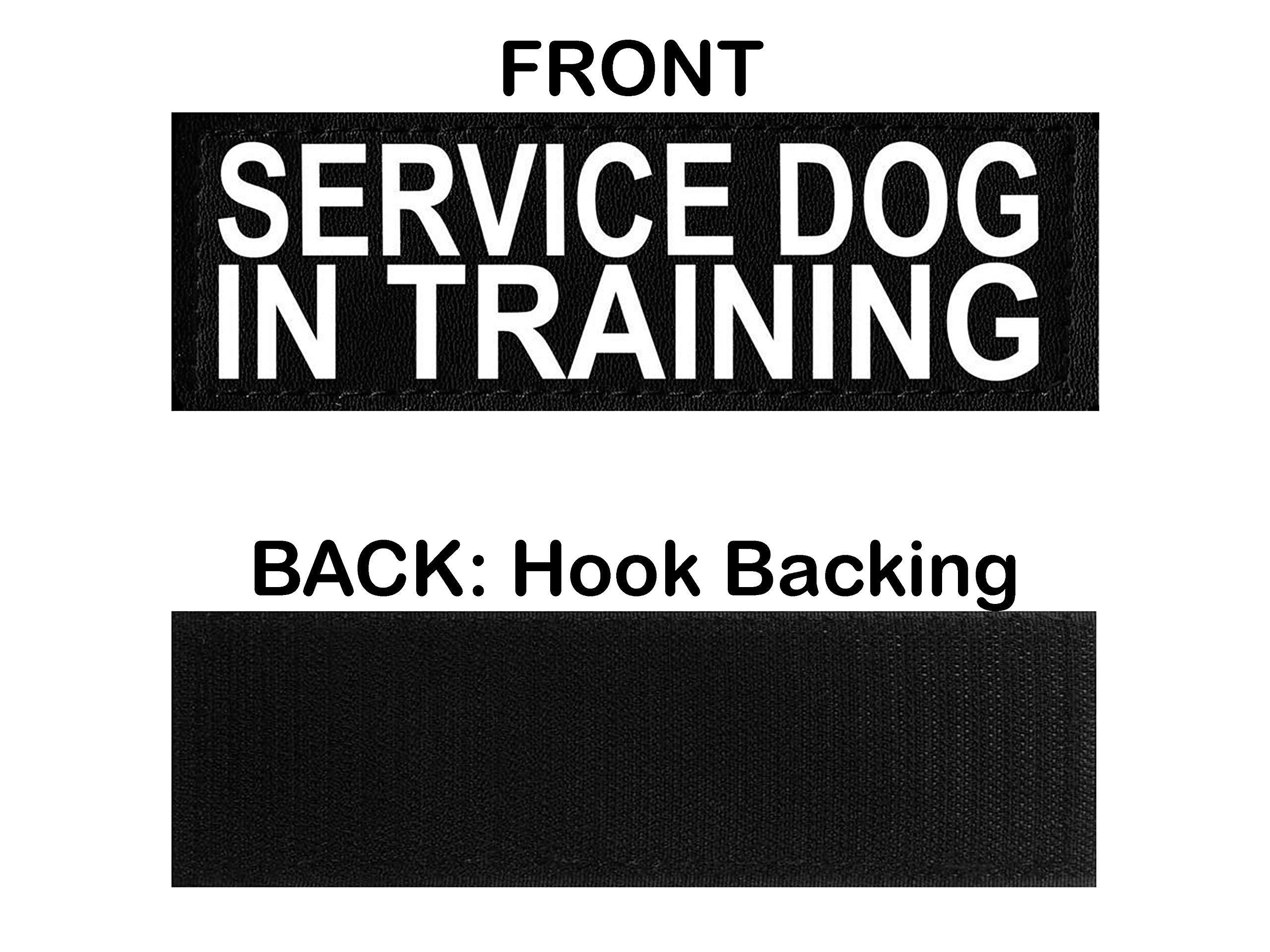 Doggie Stylz Service Dog In Training Vest With Hook And Loop Straps And Handle – Harness Comes In Sizes Xxs To Xxl – Three Colors – Dog Harness Features 2 Reflective Patches (Girth 19”-25' Purple)