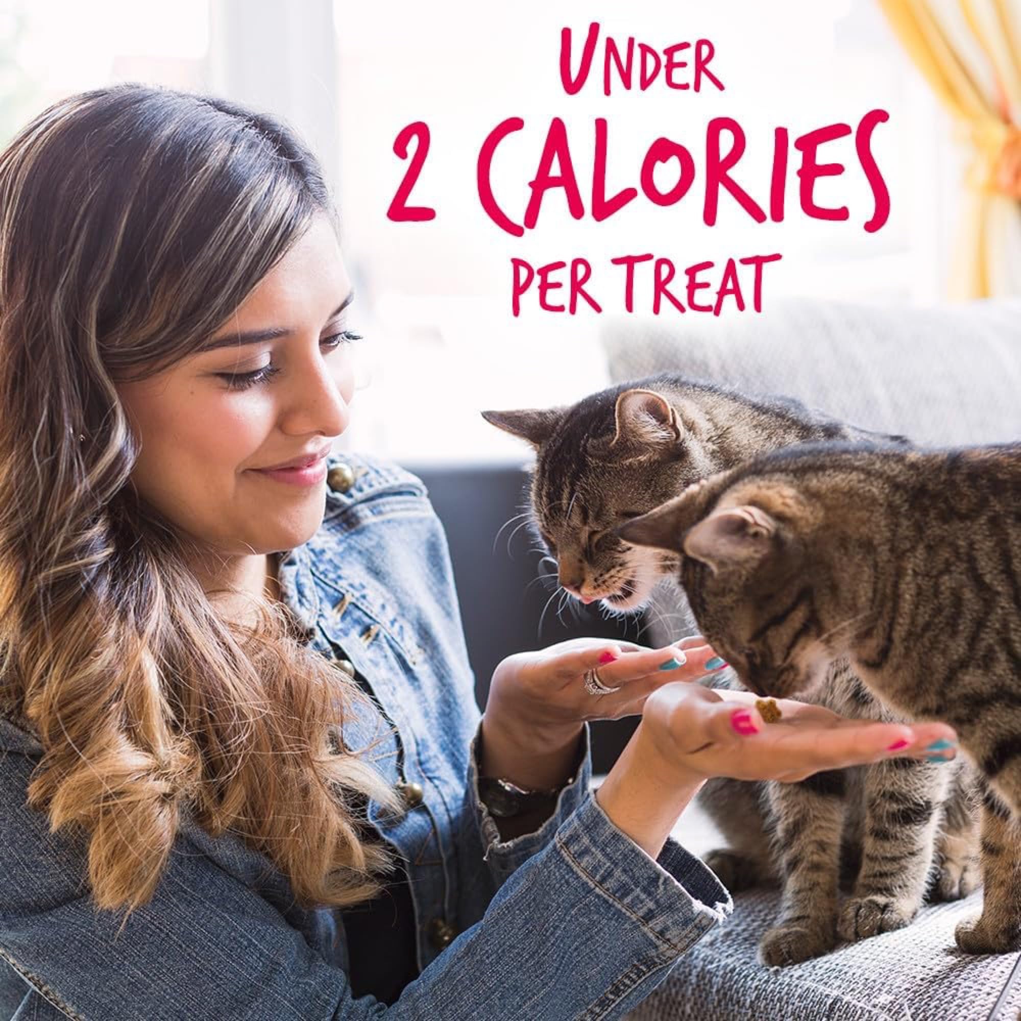 Fruitables Cat Crunchy Treats For Cats - Healthy Low Calorie Packed with Protein - Free of Wheat, Corn and Soy - Made with Real