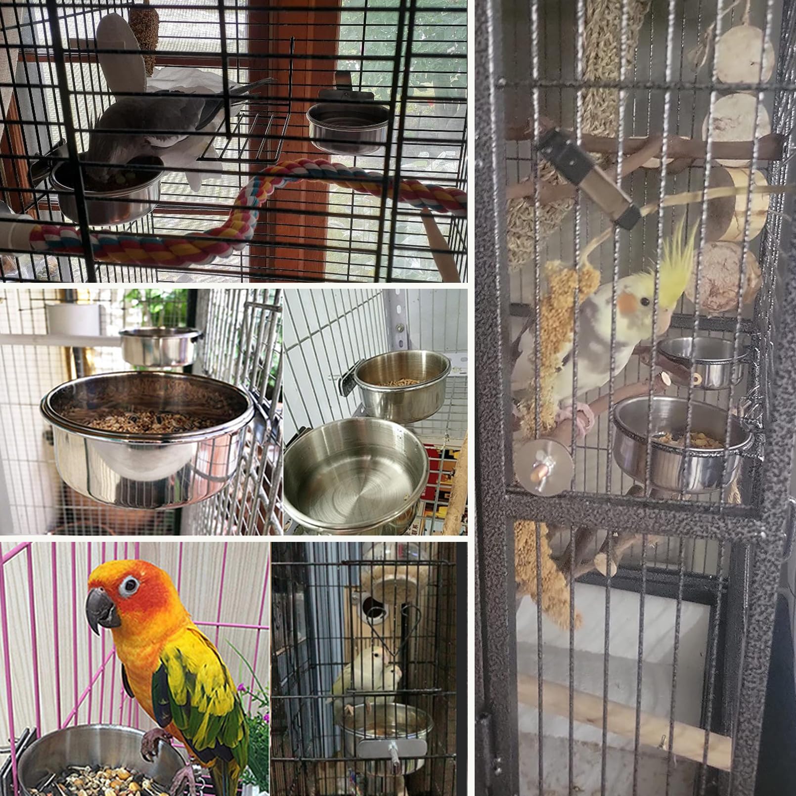 PINVNBY 6 Pieces Stainless Steel Bird Feeding Dish Cups,Parrot Feeder Parakeet Food Water Bowls with Clamp Holder & 6 Pcs Bird S