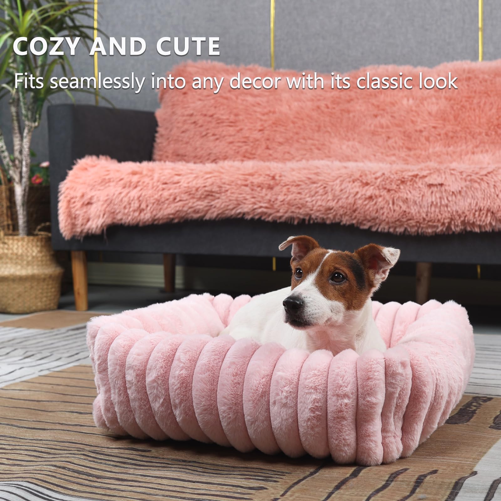 Cute Small Dog Beds For Small Dogs Girl And Cats Washable,Rectangle Cat Bed With Sides Orthopedic Soft Cozy Calming Sleeping Pup