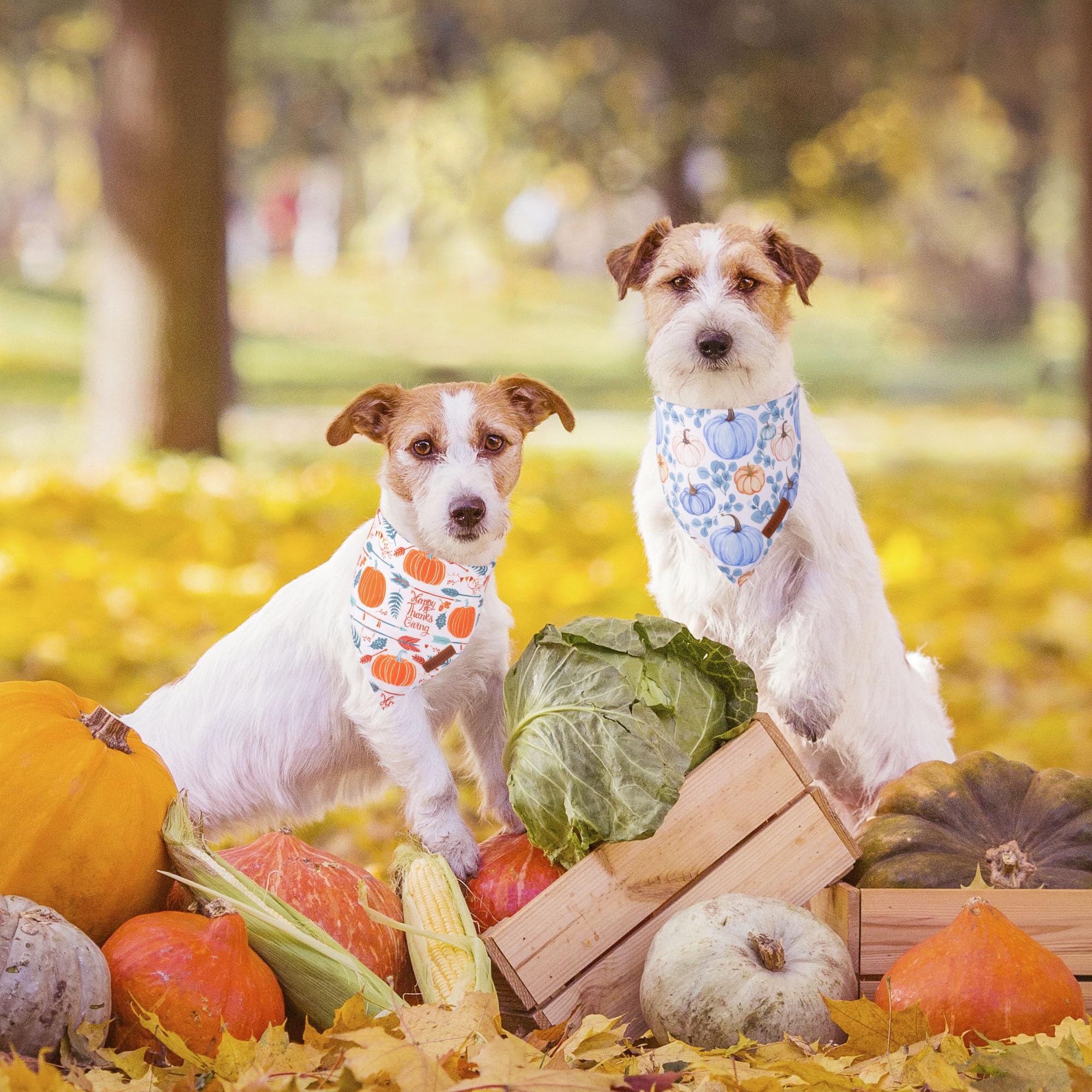 ADOGGYGO Thanksgiving Dog Bandana, Fall Leaves Pumpkin Pet Scarf, Premium Durable Fabric, Adjustable Fit Puppy Thanksgiving Band