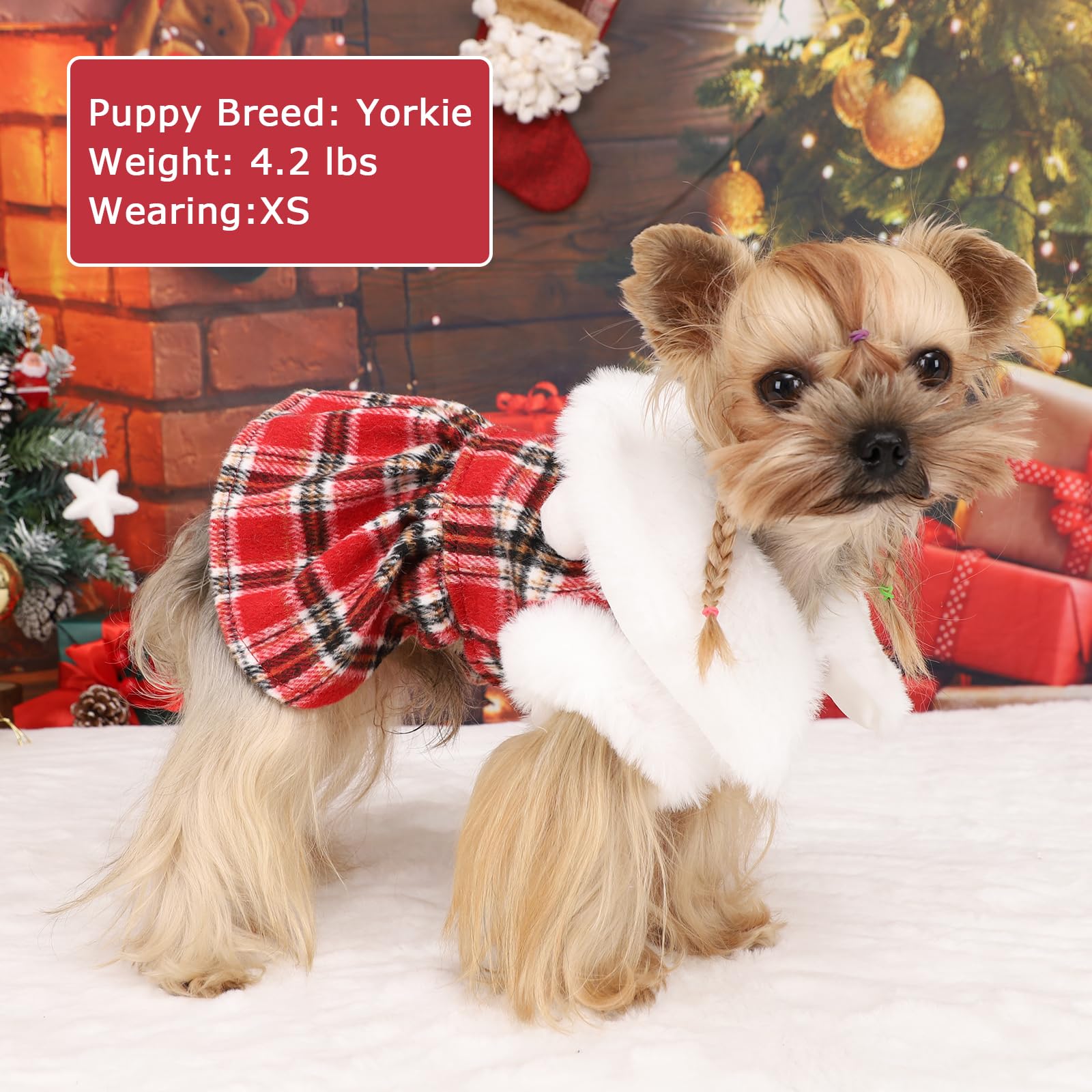 Christmas Sweater With Leash Set D Ring Plaid Fleece Clothes For Small Dogs Girl Boy Winter Pet Dress, Cold Weather Coat Fall Xx