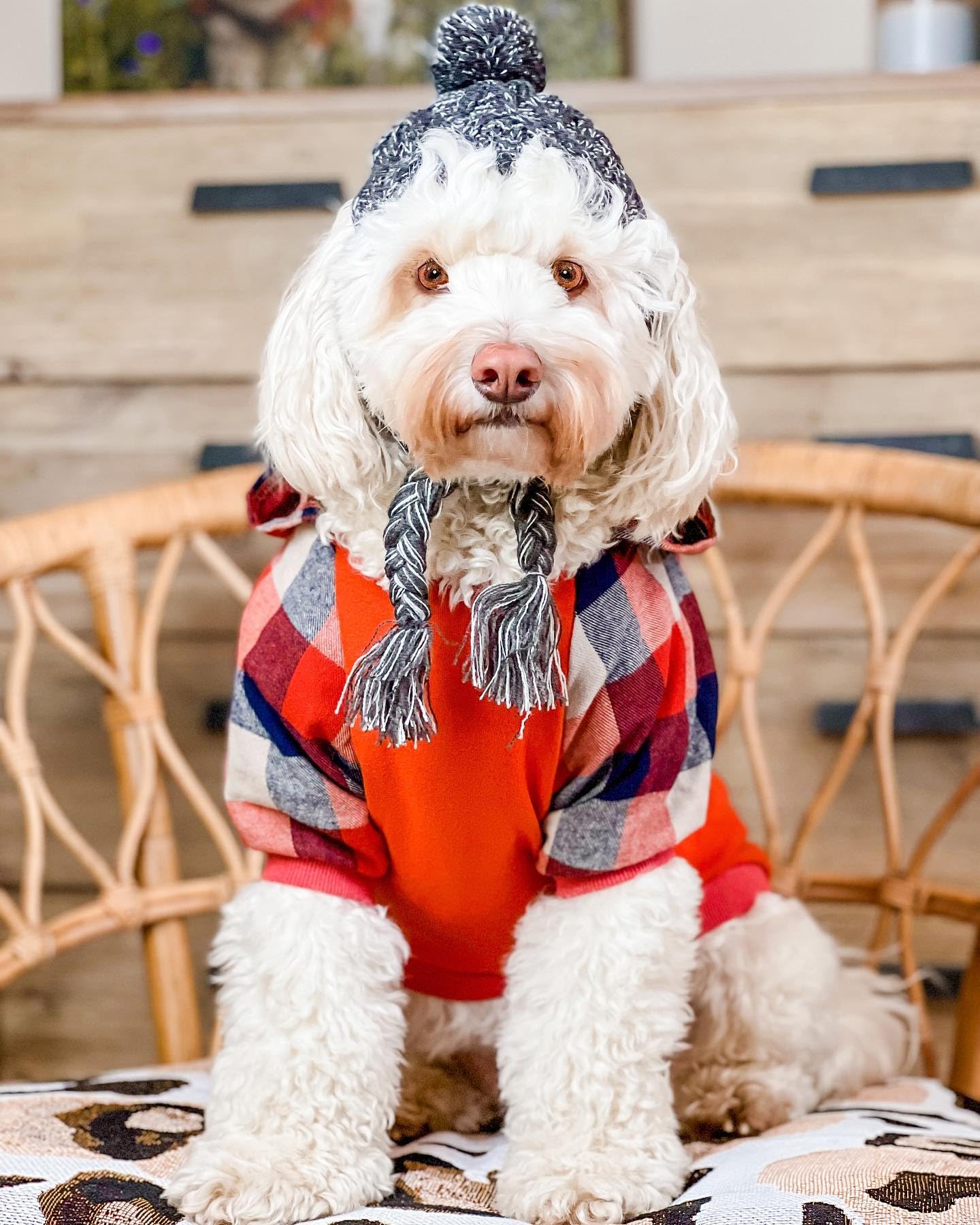 Fitwarm Tartan Plaid Dog Hoodie, Dog Clothes For Small Dogs Girl Boy, Pet Sweatshirt With Hood, Cat Winter Outfit, Red, Green, M