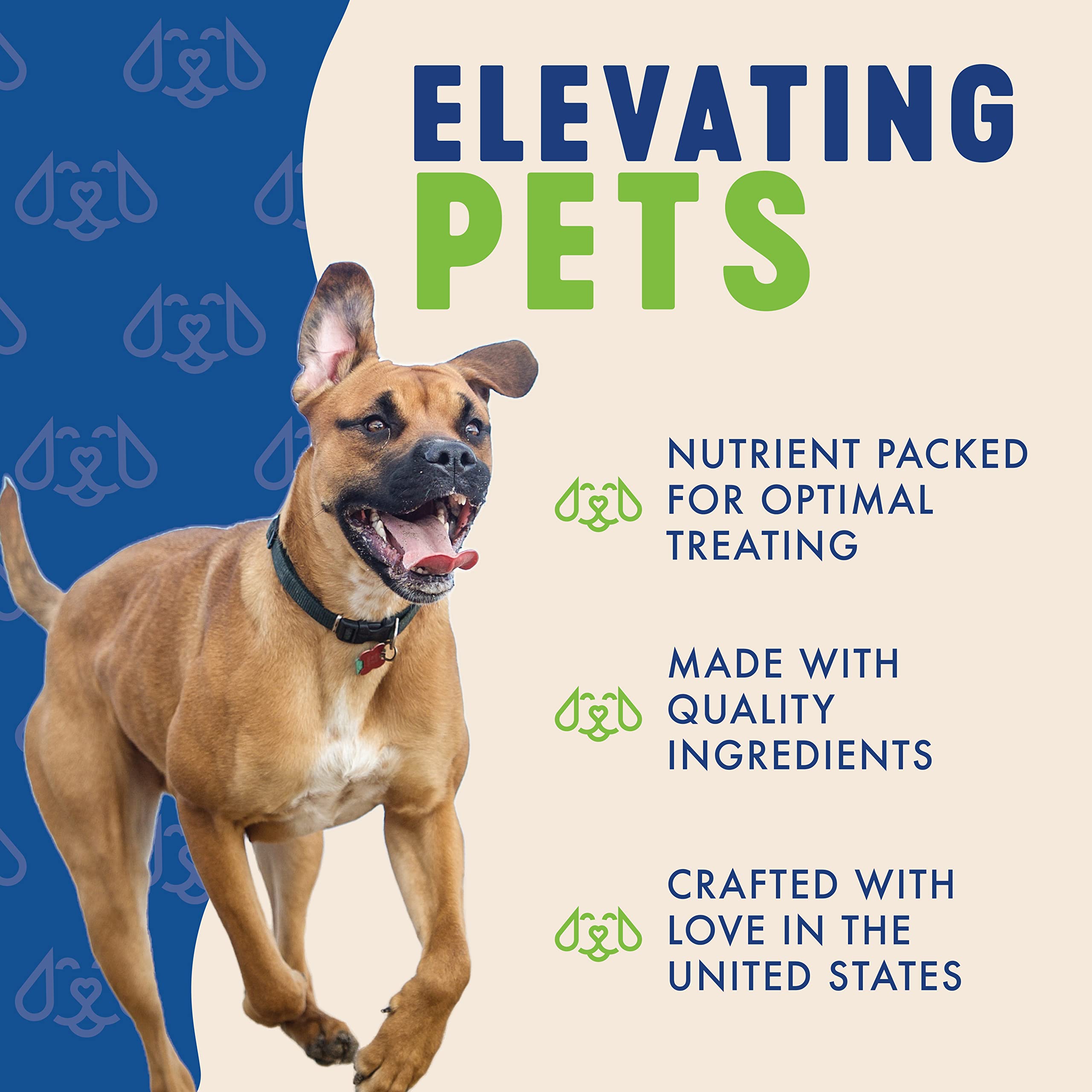 Finleys Apple Cinnamon Dog Biscuits Treats for Dogs Made in USA | Natural Apple Cinnamon Dog Treat | Wheat Free Dog Treats | He