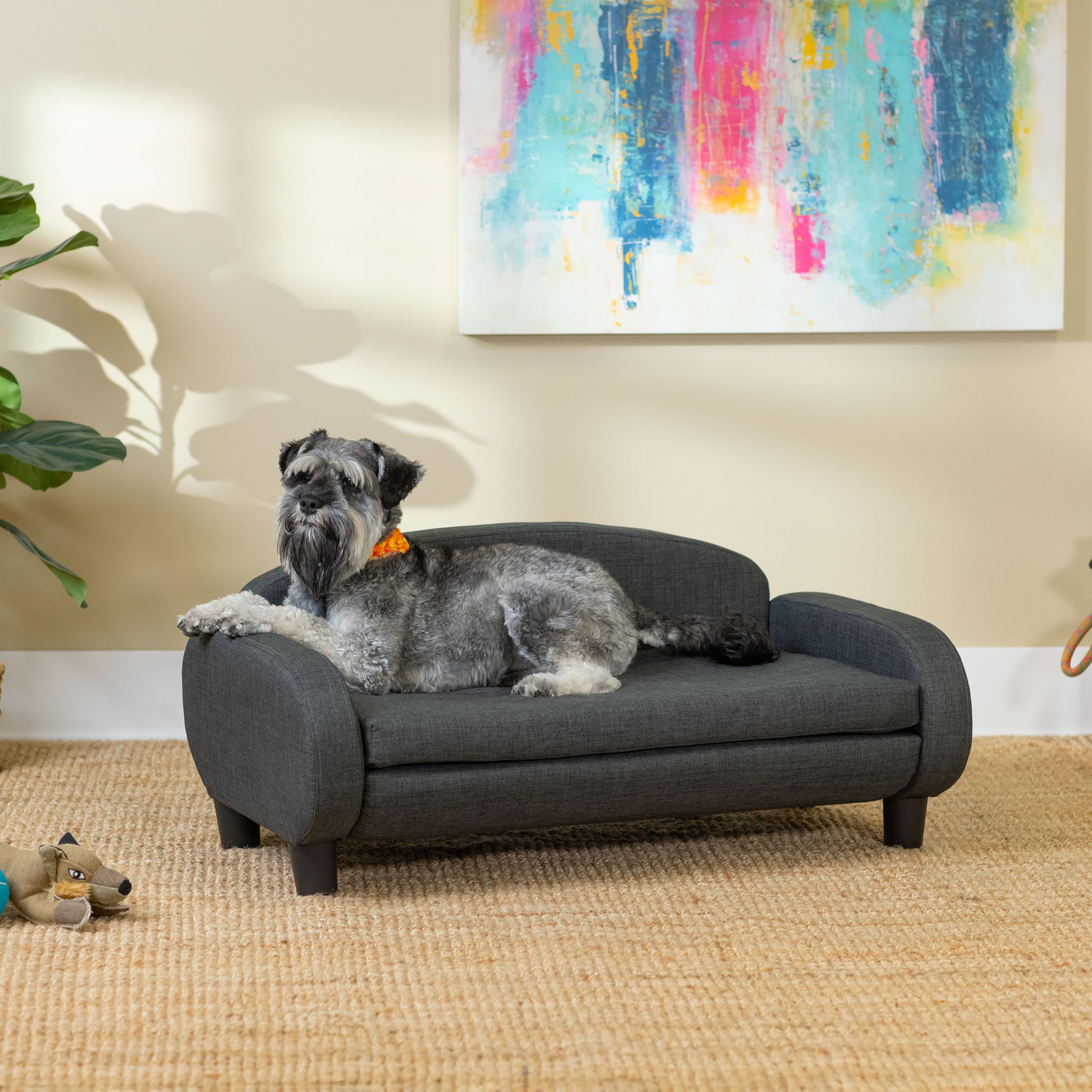 Paws & Purrs Modern Pet Sofa 35.5'' Wide For Medium Dog Or Cat With Removable/Washable Mattress Cover, Dark Gray