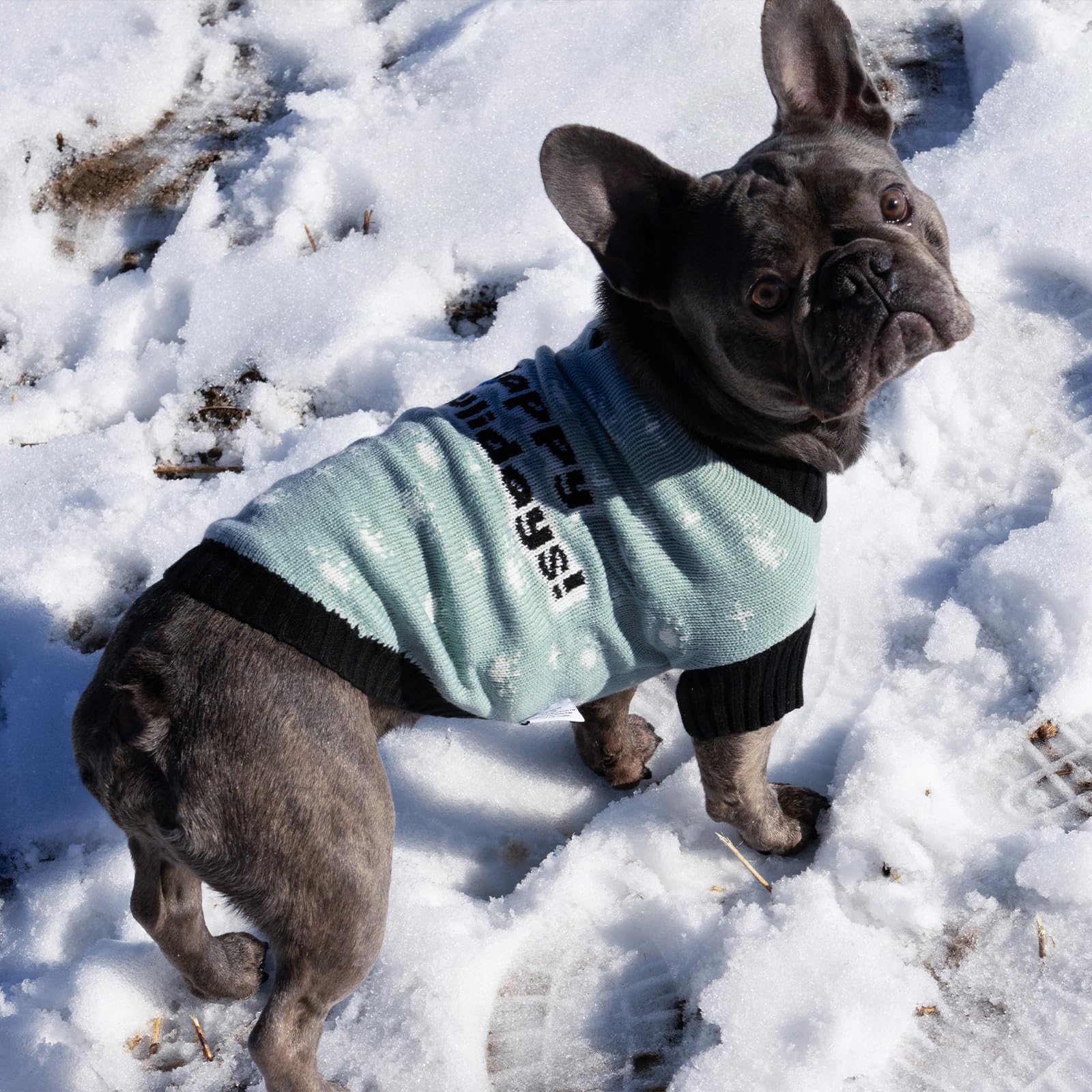 Cutebone Dog Sweater Happy Pawliday Knit Puppy Clothes For Medium Dogs Pullover Pet Winter Clothes With Harness Hole