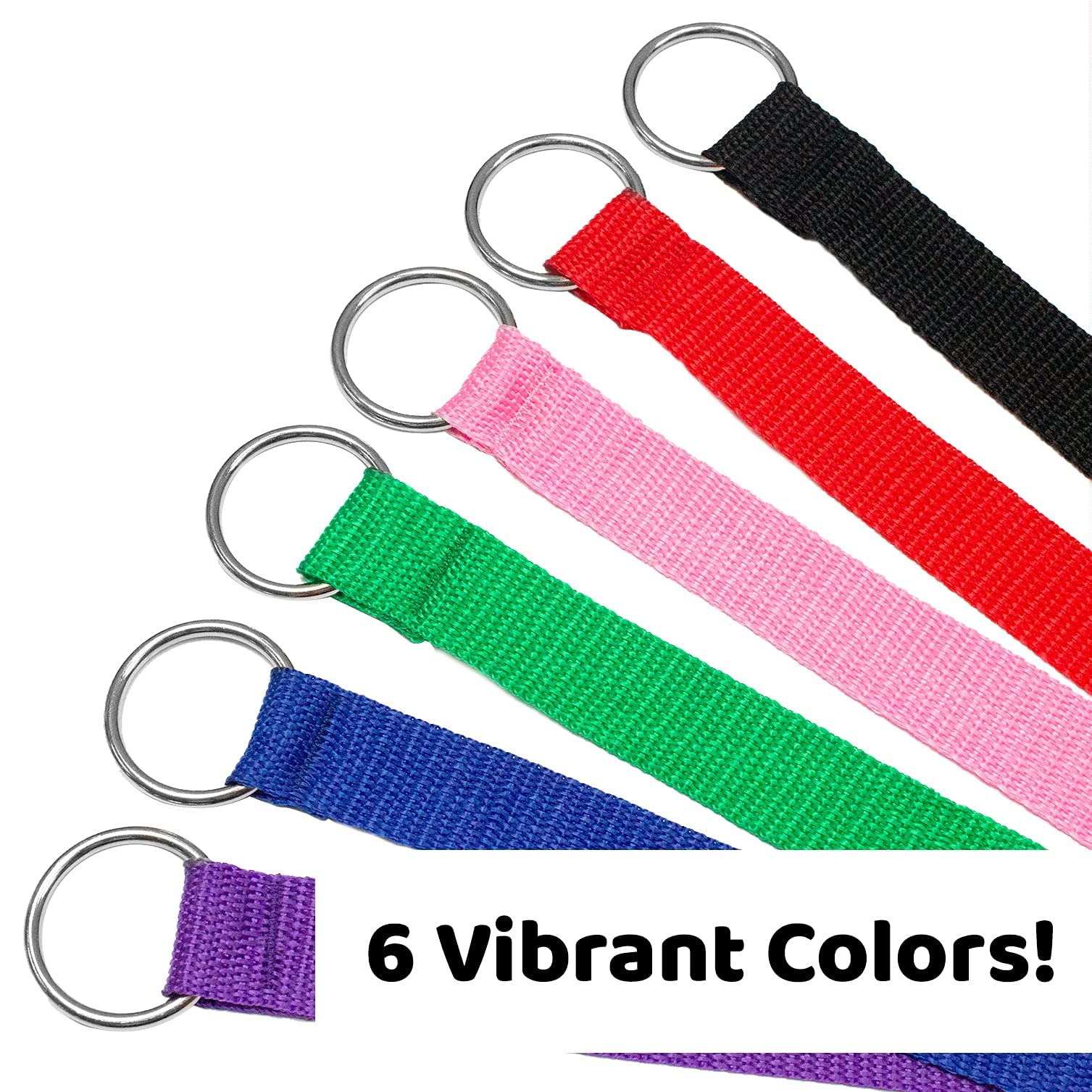 Downtown Pet Supply - 6Ft Dog Kennel Slip Lead Dog Leash - Veterinarian, Dog Grooming, Daycare & Animal Rescue Dog Supplies - One Size Leads For Dogs Bulk - 1' Thick 6 Pack