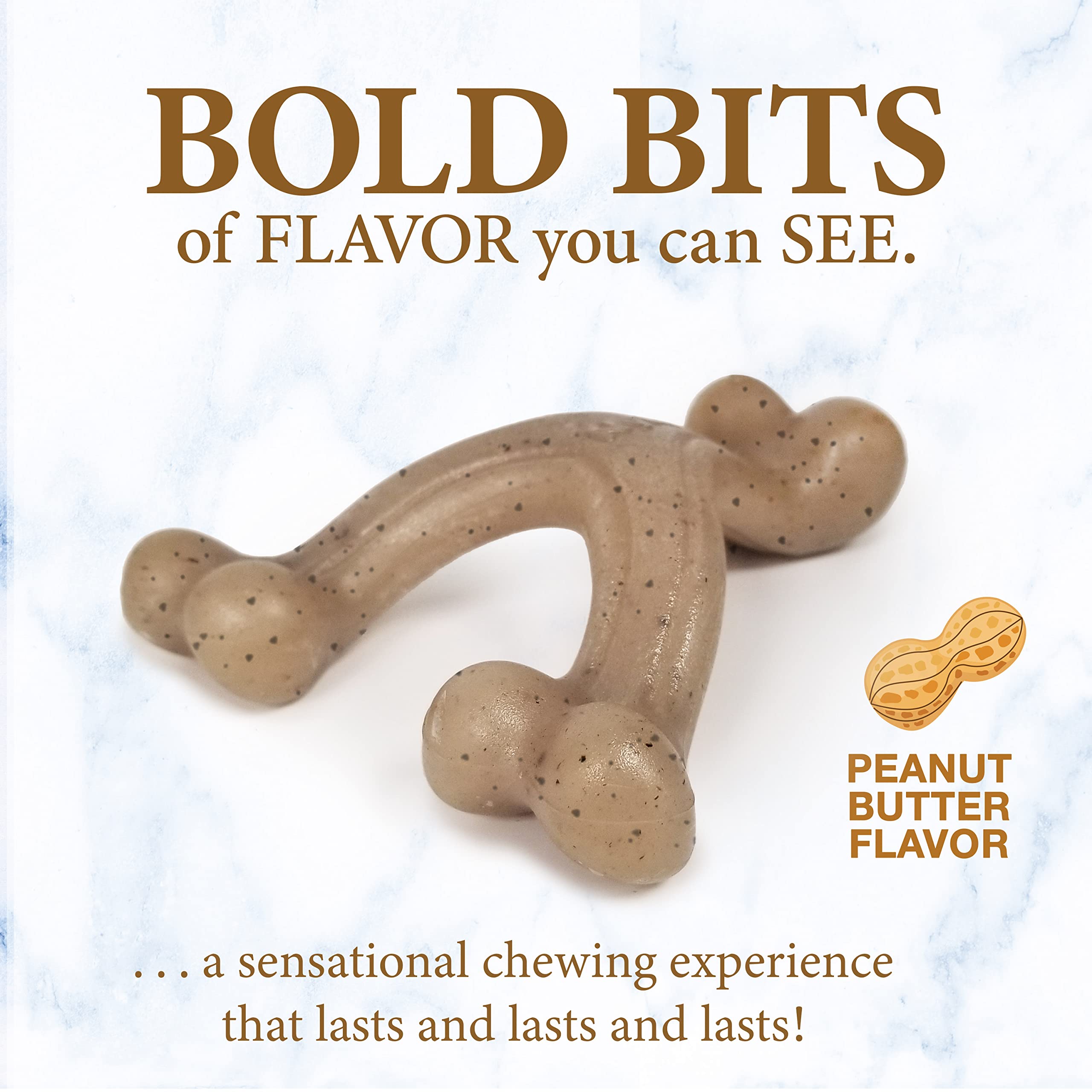 Nylabone Dog, Puppy Gourmet Style Strong Chew Toy Wishbone Peanut Butter Small/Regular (1 Count)