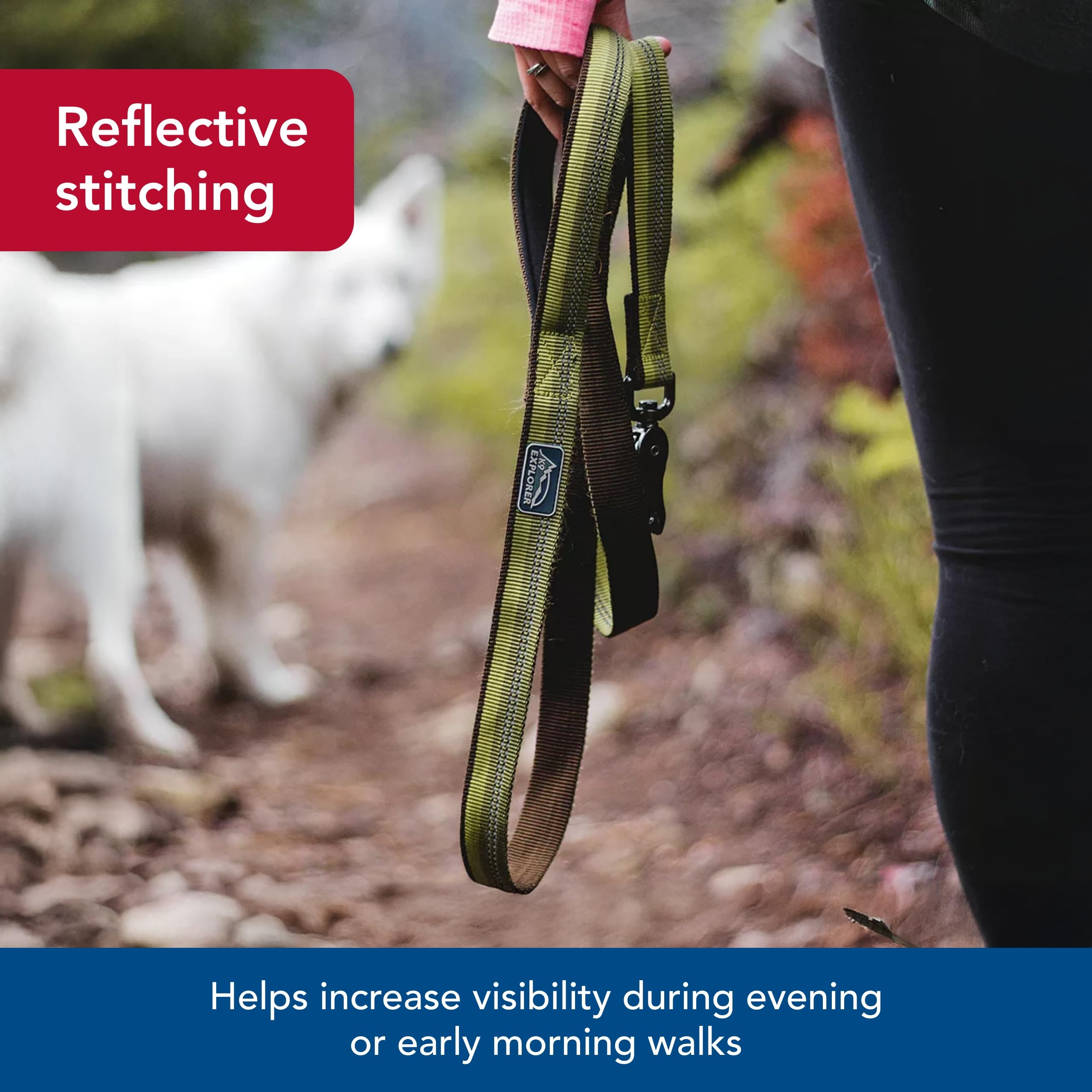 Coastal Pet K9 Explorer Reflective Dog Leash with Scissor Snap - Durable Nylon Leash - Leashes for Dogs & Puppies - Pet Supplies