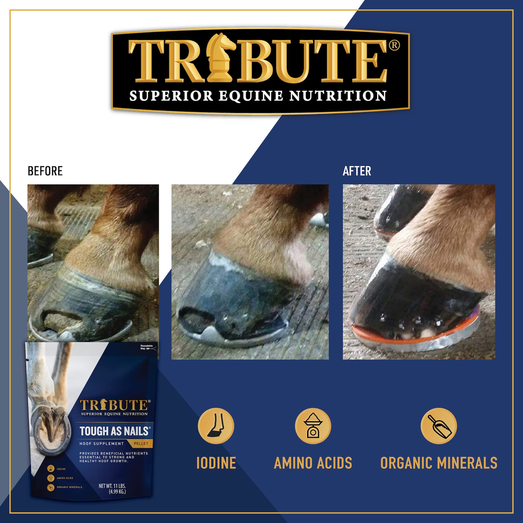 Tribute Tough As Nails 11lbs Pelleted Hoof Supplement