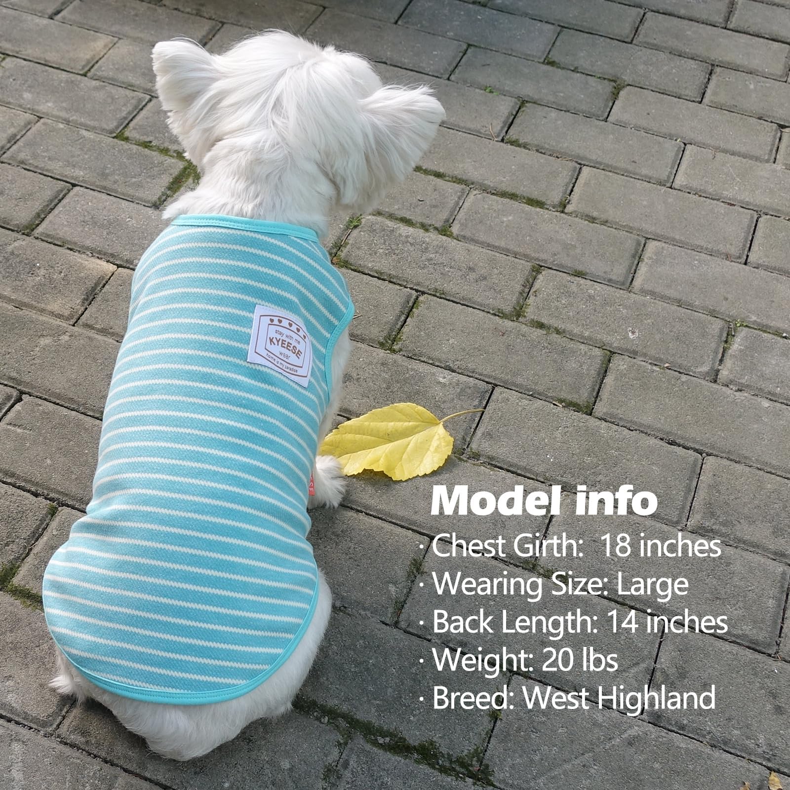 Kyeese 2Pack Dog Shirts Striped For Small Dogs Soft Stretchy Dog T-Shirts Lightweight Tank Top Sleeveless Vest Breathable Pet Ap