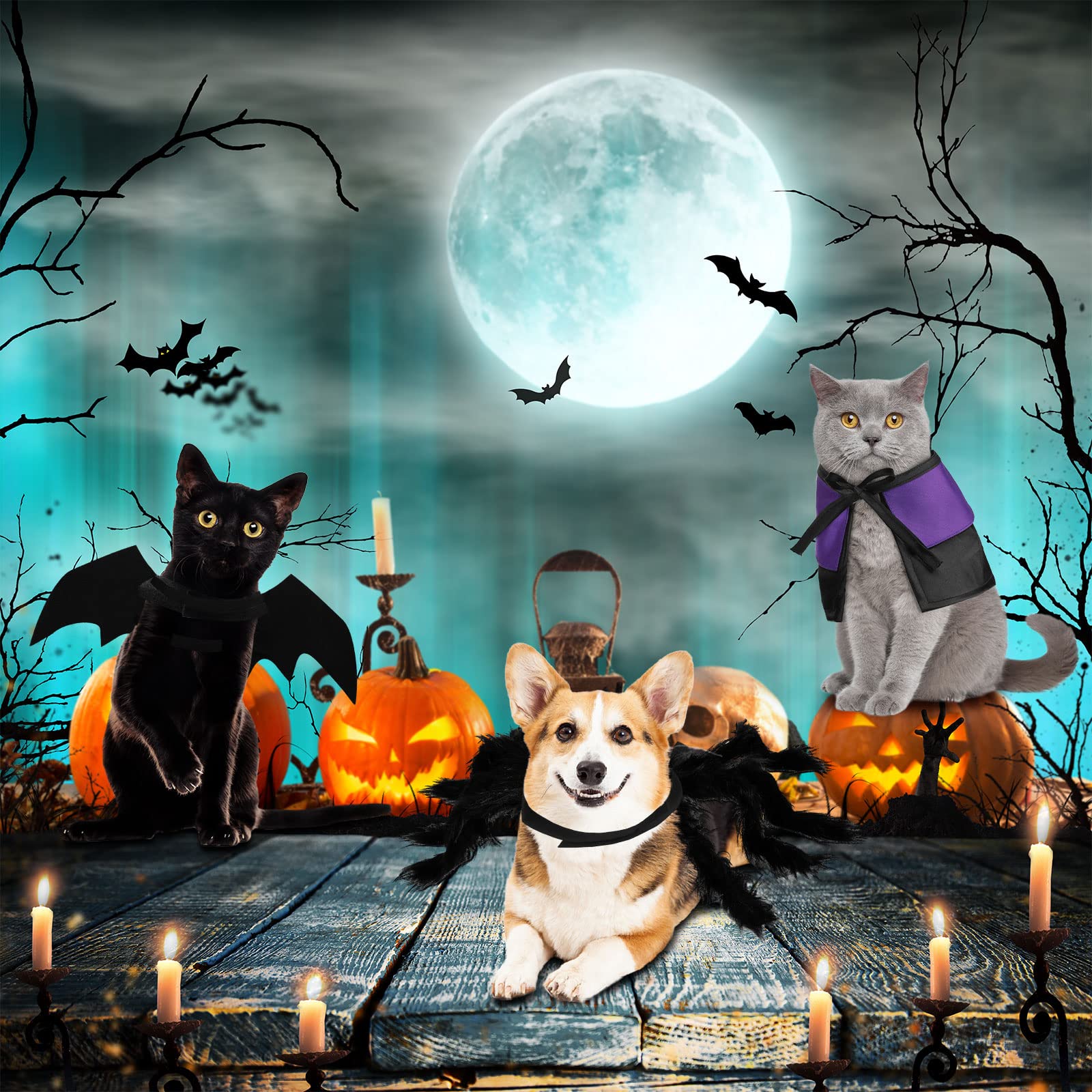 3 Piece Halloween Cat Dog Costume Set, Pet Bat Witch Vampire Pumpkin Cloak Giant Imitation Pet Spider Pets Costume Cosplay Accessories Halloween Pets Decoration For Dogs Puppy Cats (Cool,M)