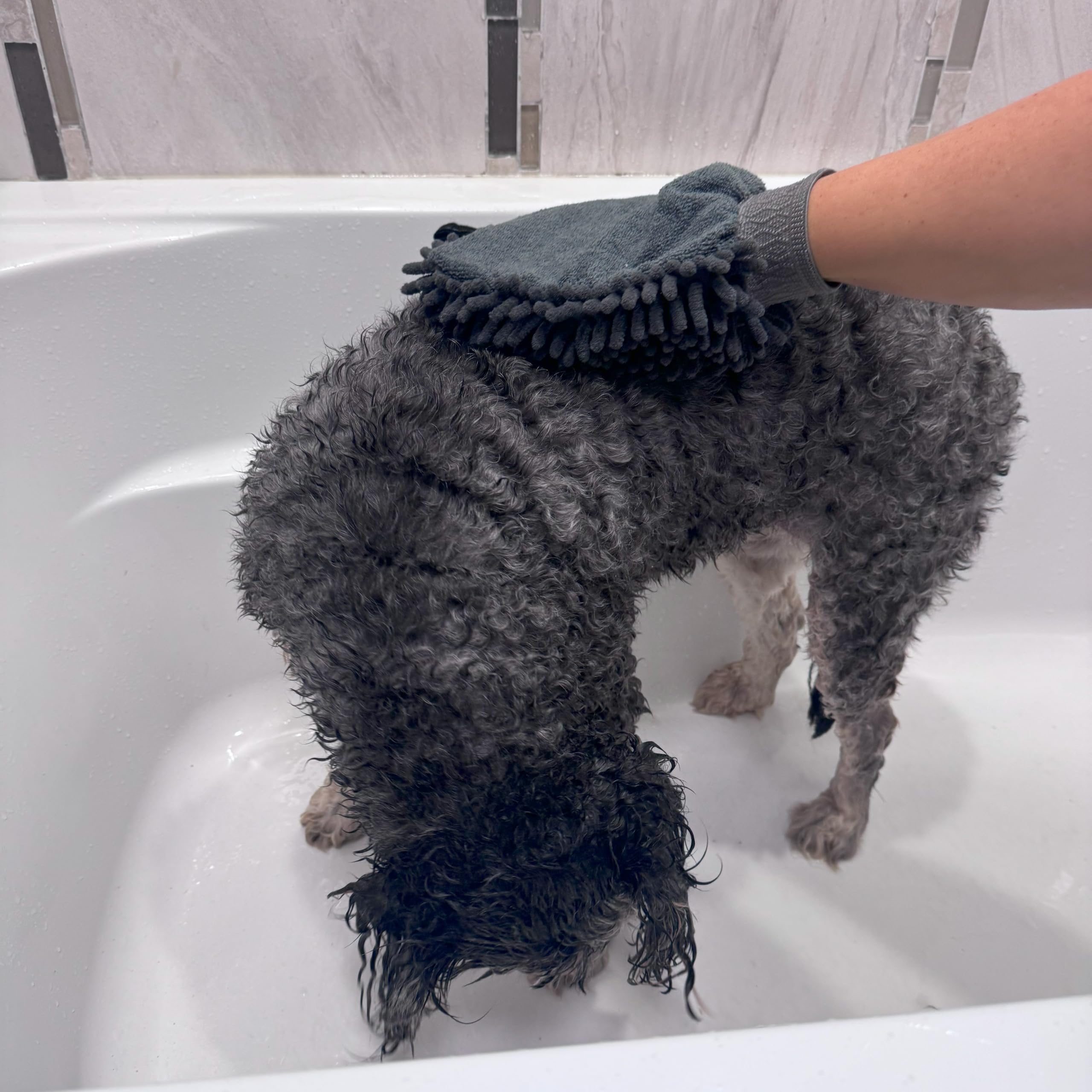 Spot Clean Paws Chenille Microfiber Dog Towel Mitt - Super Absorbent, Quick-Drying, Washable, Double-Sided Glove For Wet Paws & Body, Durable, Odor-Free, Gently Massages & Dries, 9.5In X 7In