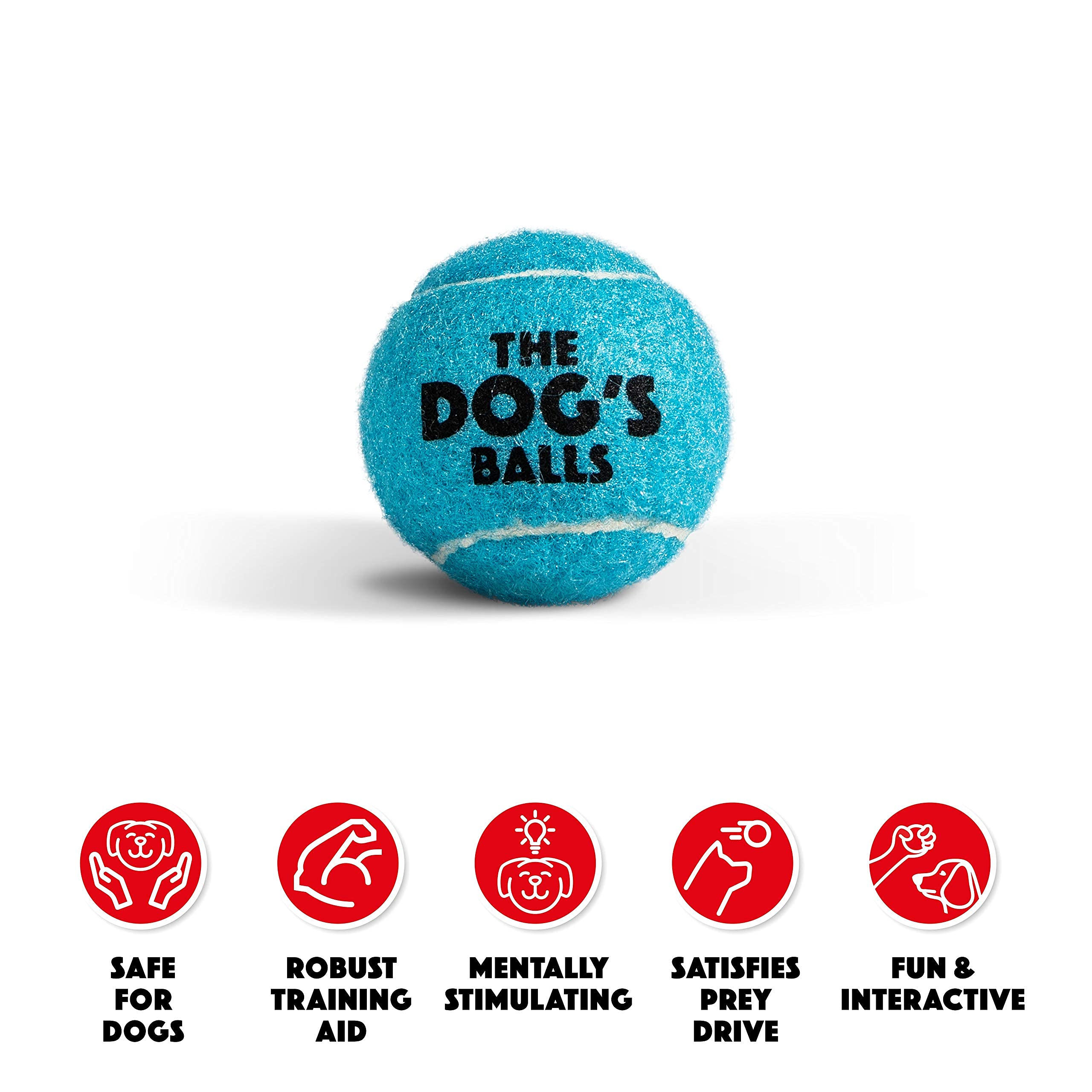 The Little Dog'S Balls, Dog Tennis Balls, 6-Pack Blue Dog Toy, Strong Dog & Puppy Ball For Training, Play, Exercise & Fetch