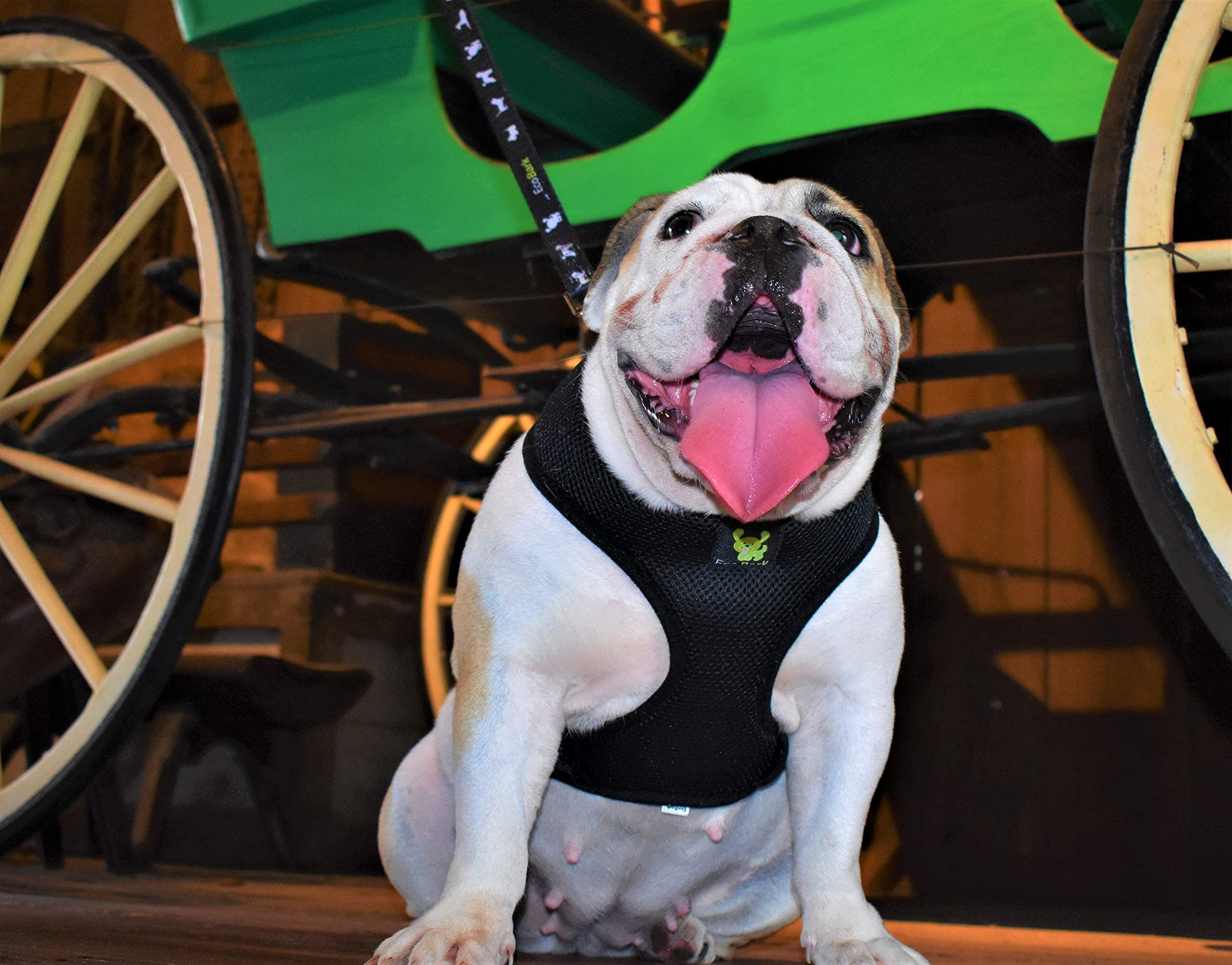 Ecobark Dog Harness - Eco-Friendly Max Comfort Harnesses - Luxurious Soft Mesh Halter - Over The Head Harness Vest- No Pull And No Choke For Medium And Large Breed Dogs (Black, Xl)