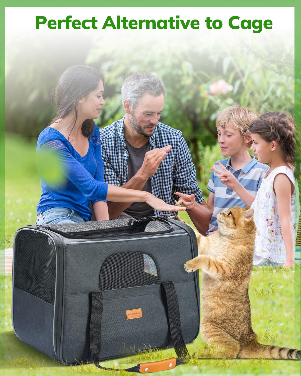 Morpilot Large Cat Carrier - Soft Sided Cat Carrier Large For Big Medium Cats And Puppy Up To 20Lbs, Pet Carrier With Safety Zippers, Foldable Bowl, Pet Travel Carrier Bag - Dark Gray Large