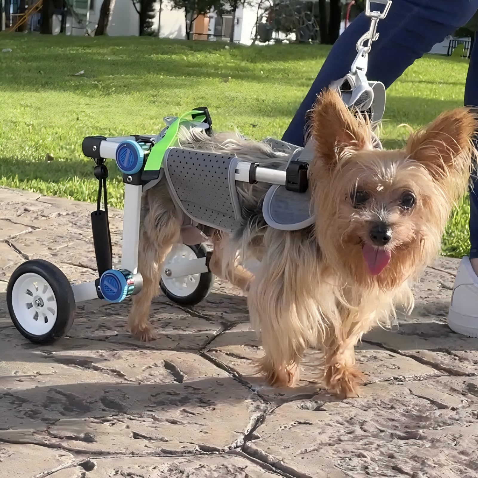 LetPetRun Dog Wheelchair, Adjustable Dog Wheelchair for Back Legs, Stable Dog Cart for Disabled Hind Legs, Help Small Pets with 
