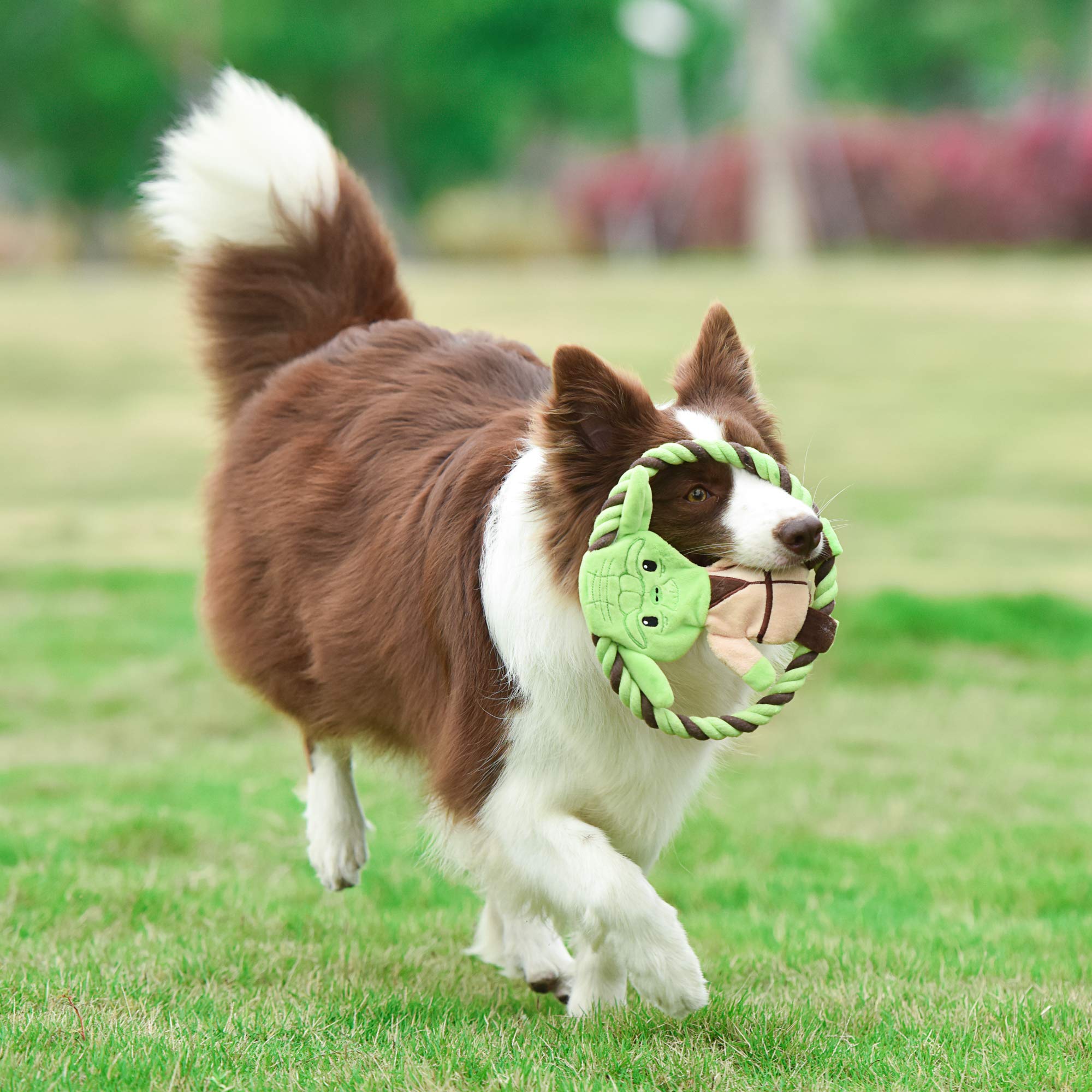 Star Wars For Pets Plush Yoda Rope Frisbee Dog Toy | Green Fetch Toys For Dogs | Plush Dog Toy, Chew Dog Toy, Squeaky Dog Toy Officially Licensed From Star Wars