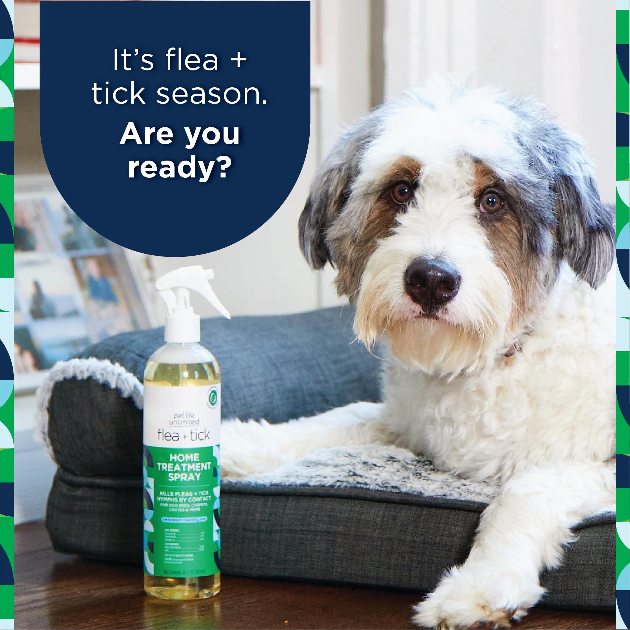 Pet Life Unlimited Natural Flea and Tick 3-Step Kit - Flea and Tick Spray for Dogs, Flea Spray for Home, and Flea and Tick Shamp