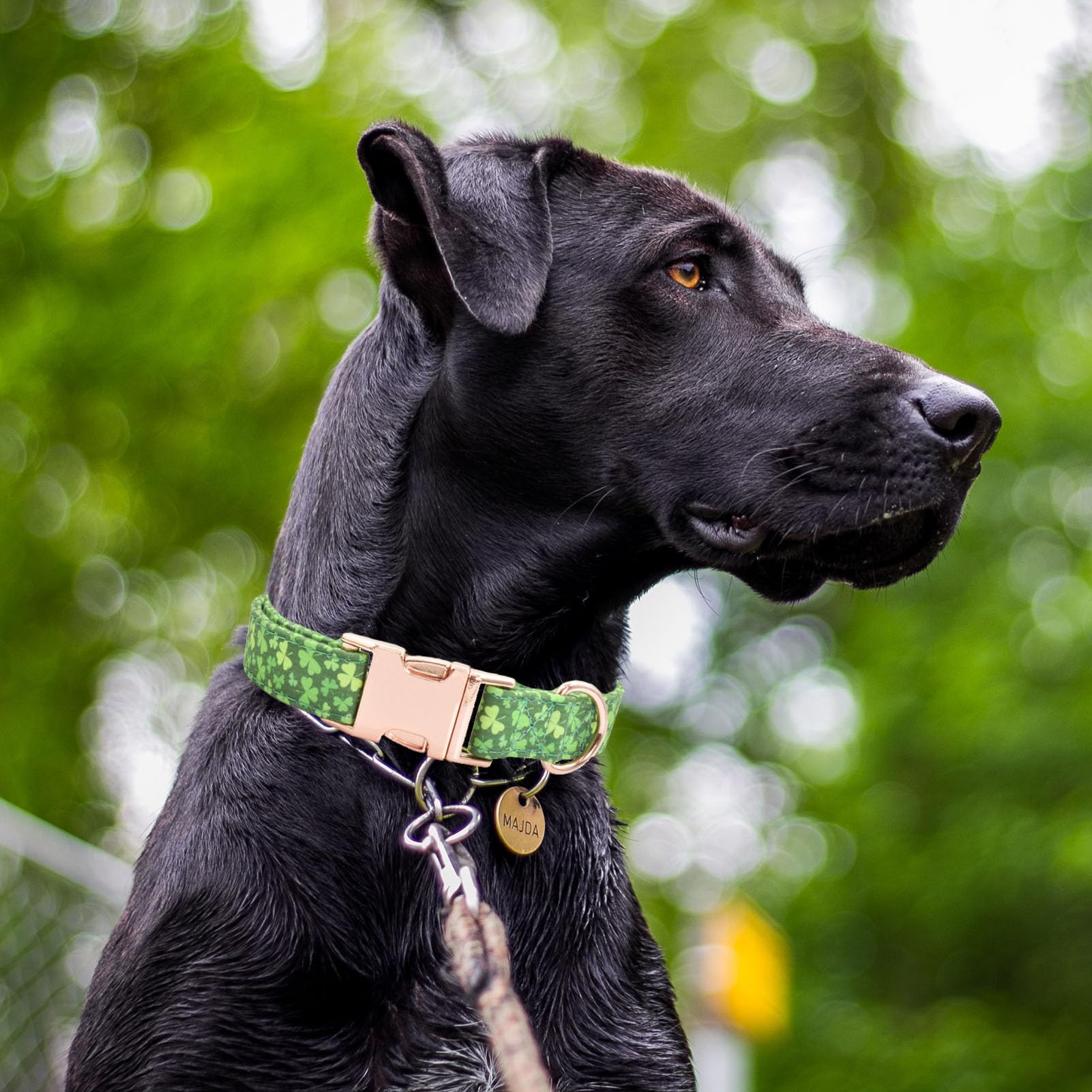 Cotton Dog Collar Metal Buckle Daisy Summer, Cute Adjustable Dog Collar Soft For Small Medium Large Boys Girls Dogs Durable (Fou