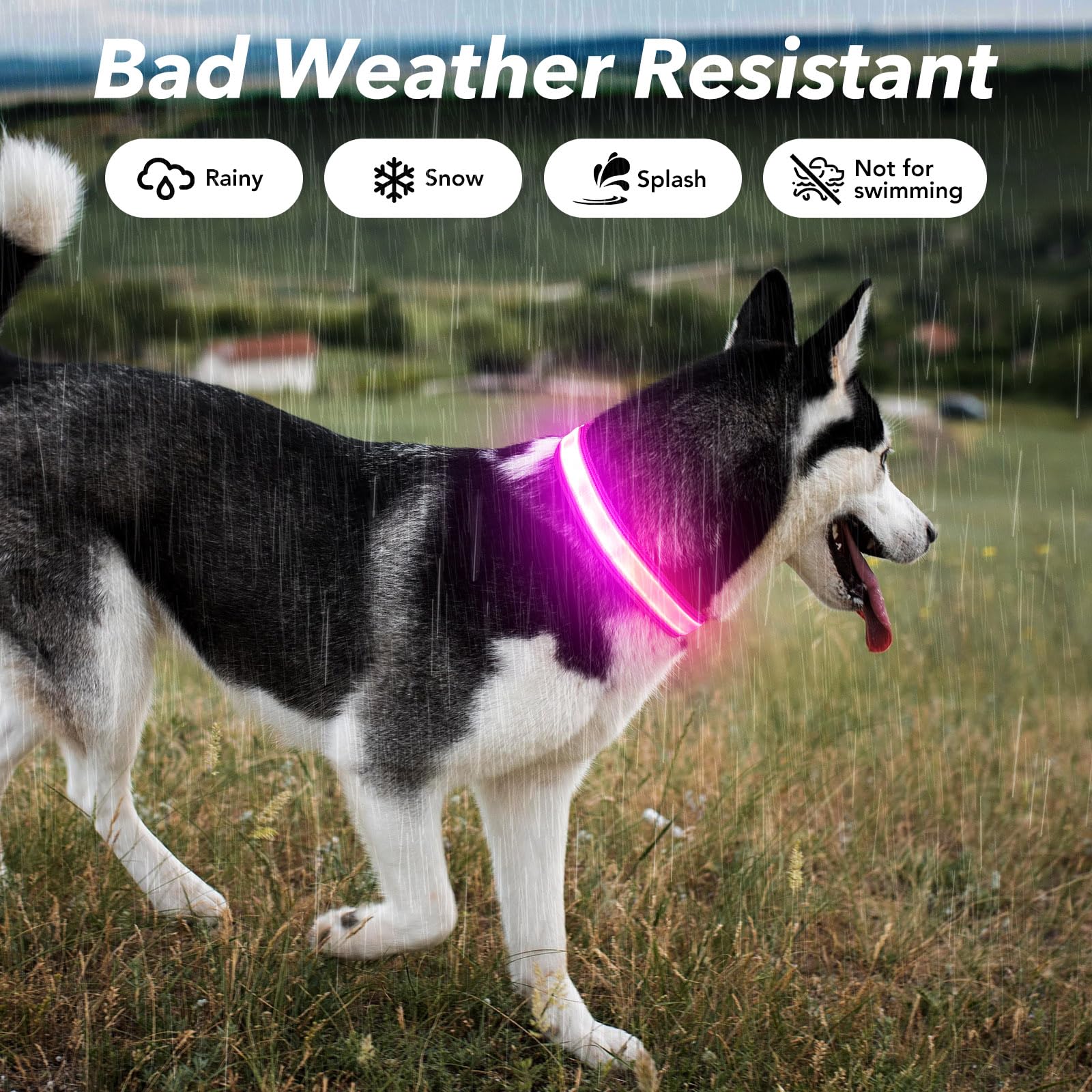 Visinite Light Up Dog Collars, Lighted Dog Collars Rechargeable Waterproof, Dog Glow Collar for Pet Safety Dog Lights Night Walk