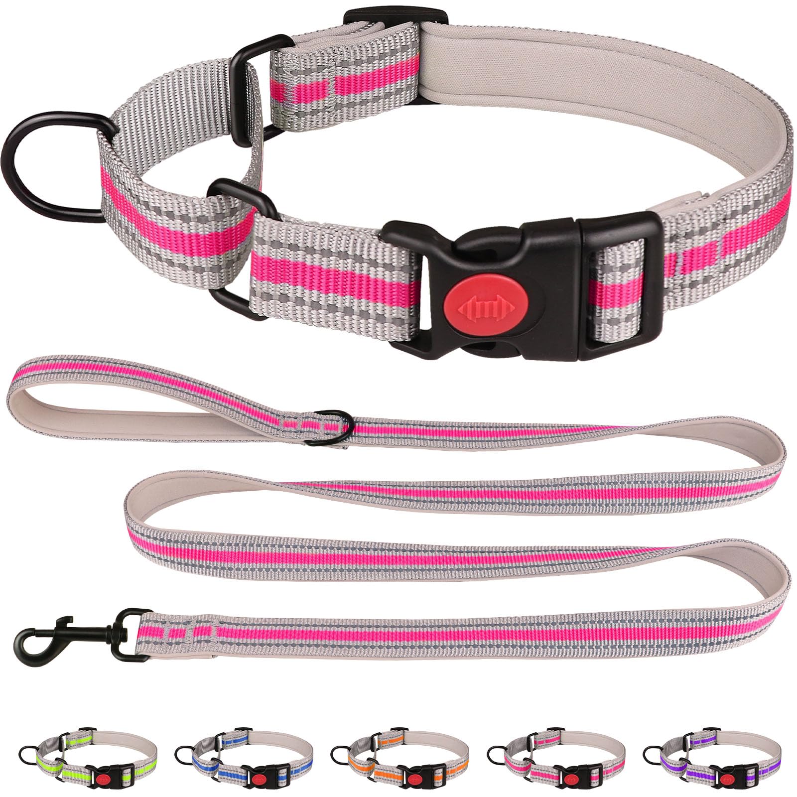 Martingale Collar For Dogs,Soft Neoprene Padded Reflective Martingale Collar And Leash Set Safety Buckle Nylon Martingale Dog Co