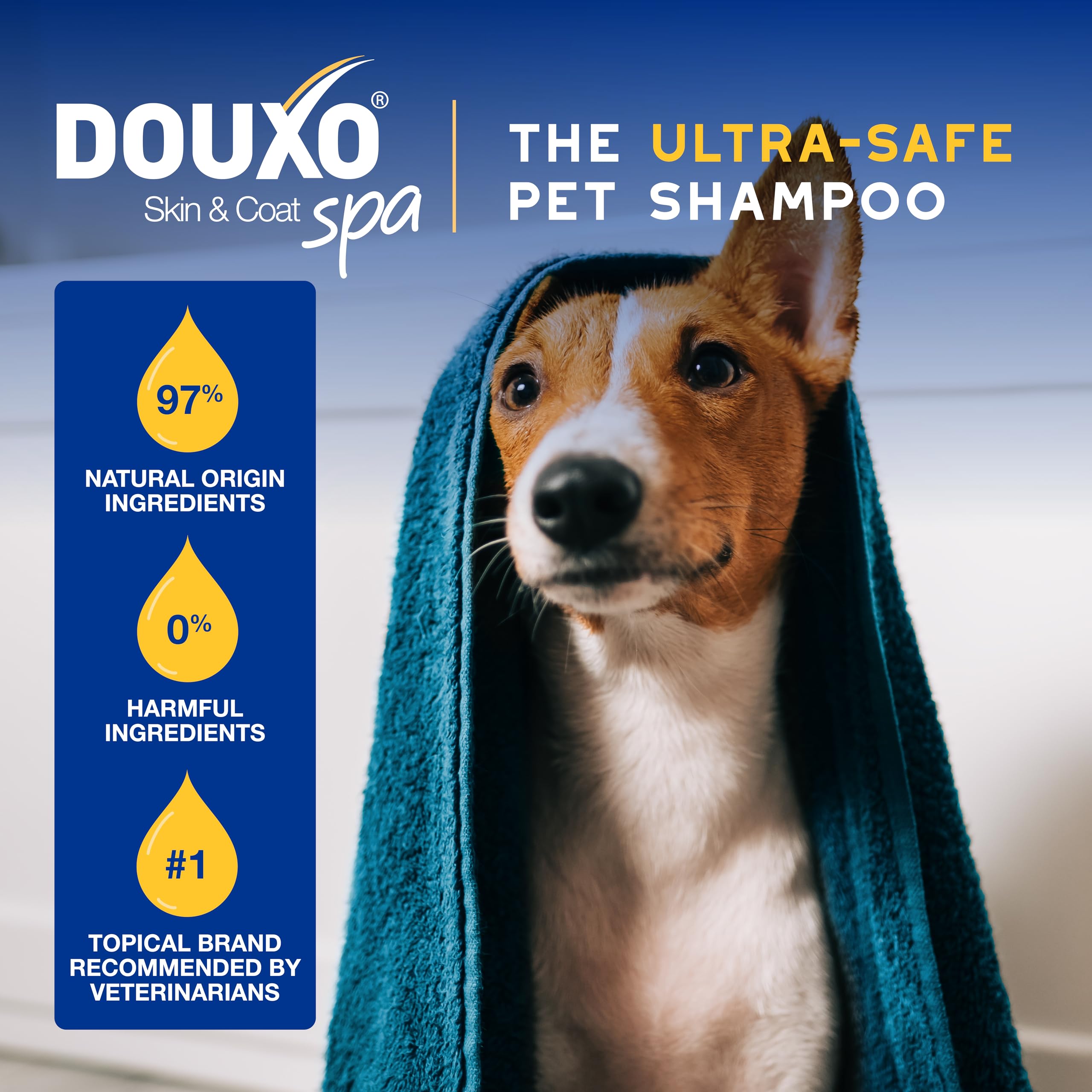 Douxo Skin & Coat Spa - Ultra-Safe Oatmeal Dog Conditioner, 16 Fl Oz, Safely Detangles, Revives The Coat And Moisturizes The Ski