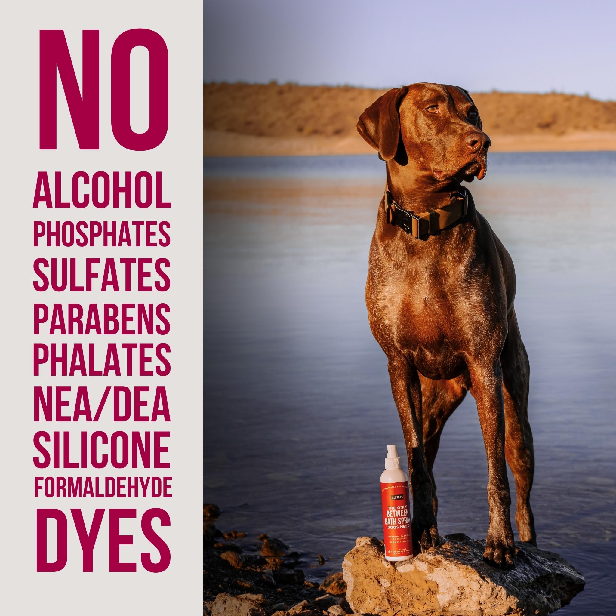 Natural Rapport Dog Cologne Spray Cranberry & Vanilla Scent - The Only Between Bath Spray Dogs Need - Convenient, Dog Deodorant Spray And Pet Urine Odor Eliminator Perfume (8 Fl Oz.)