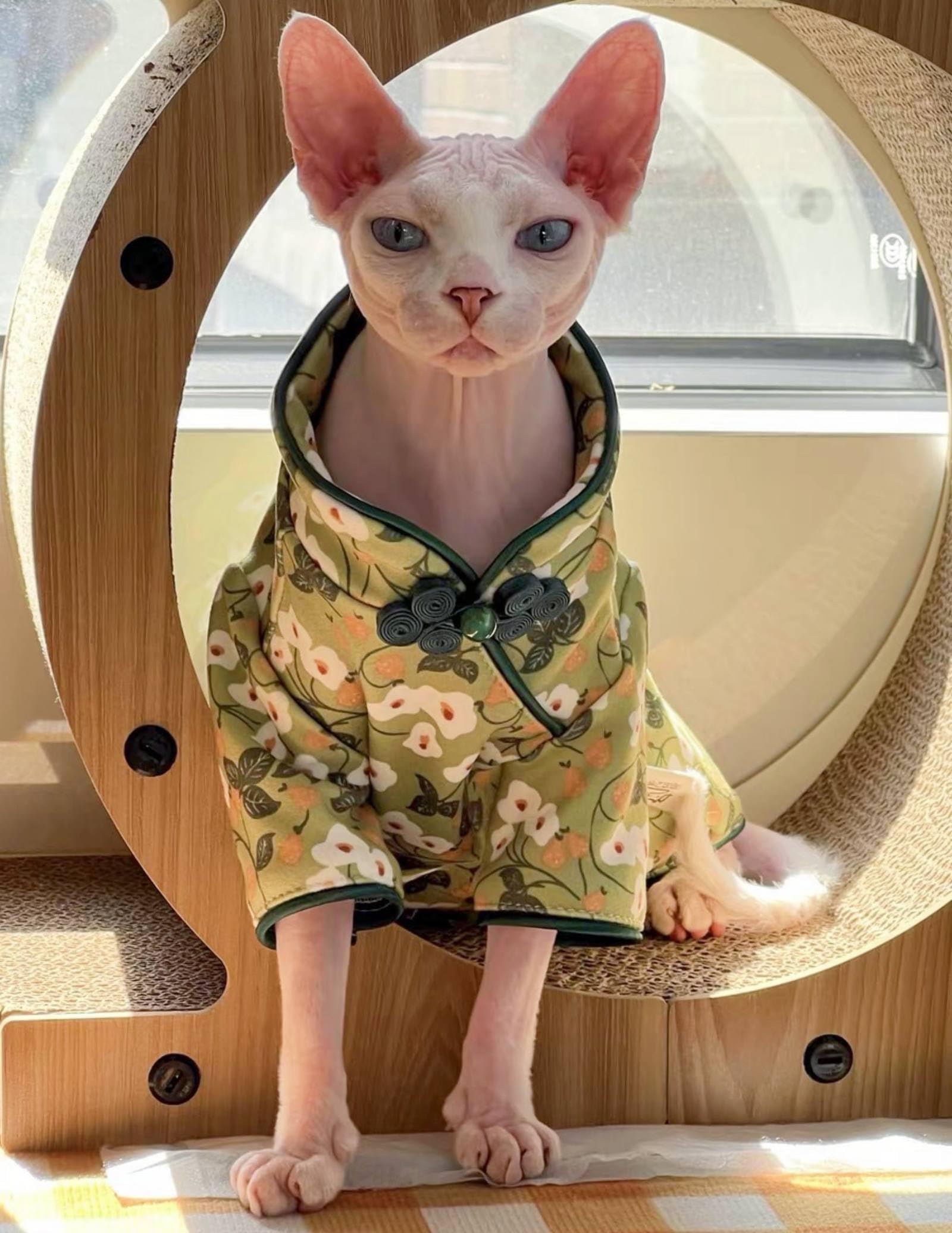 Traditional Culture Sphynx Hairless Cat Cotton T-Shirts Cat Clothes Pet Sweater Cat Vest Pet Clothes Kitten Shirts Cats & Small