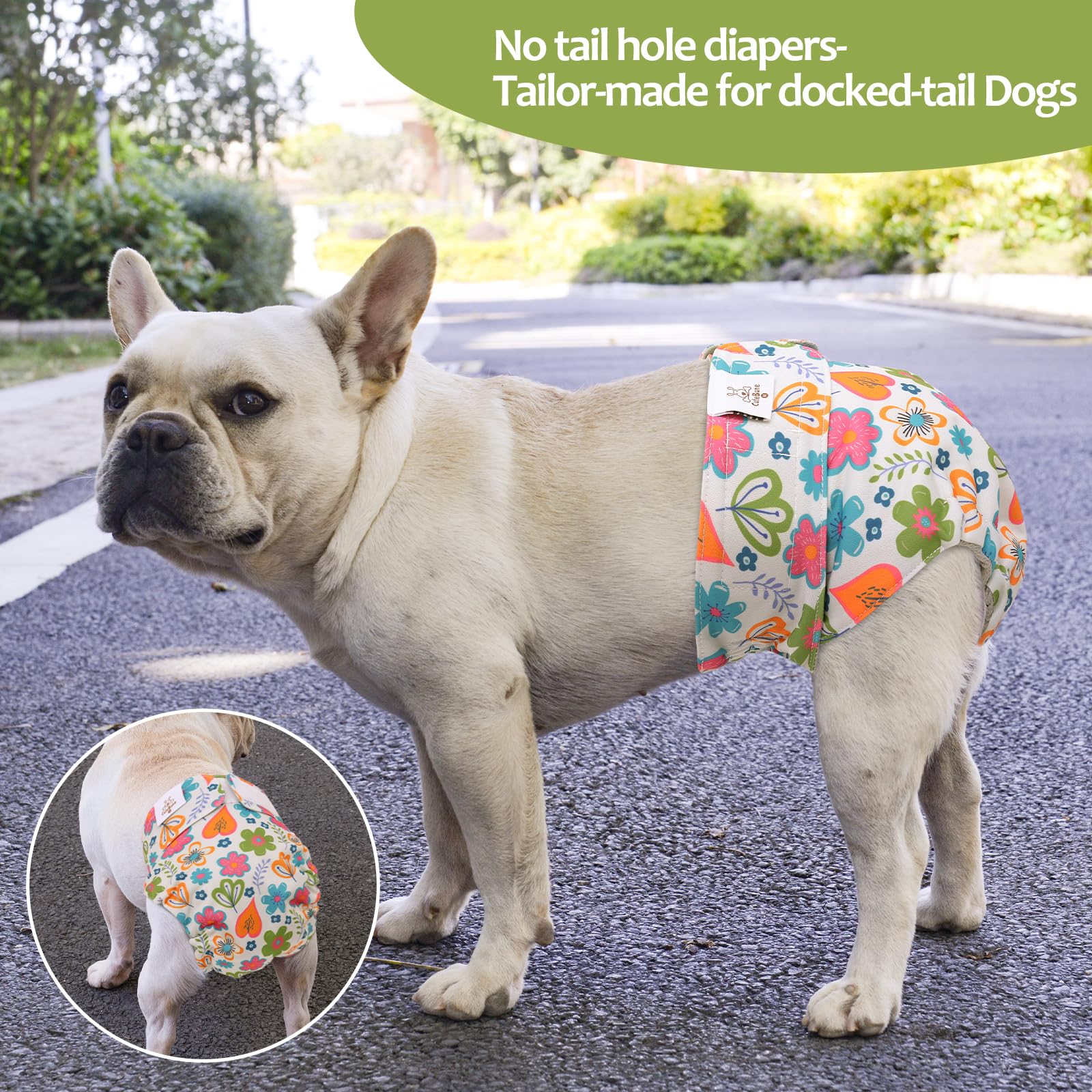 Cutebone Washable Dog Diapers Female No Tail Hole 3 Pack Reusable Doggie Period Training Pants For Docked-Tail Frenchie French Bulldog Boston Terrier Without Tail Wwd19M