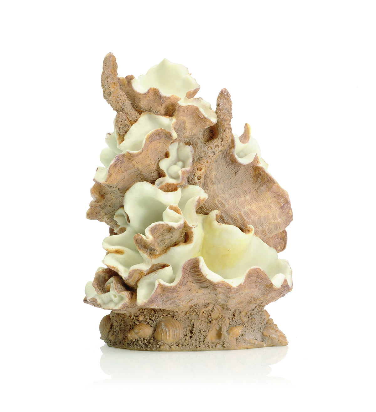 Biorb 46108.0 Clamshell Ornament Medium Aquariums, Chocolate