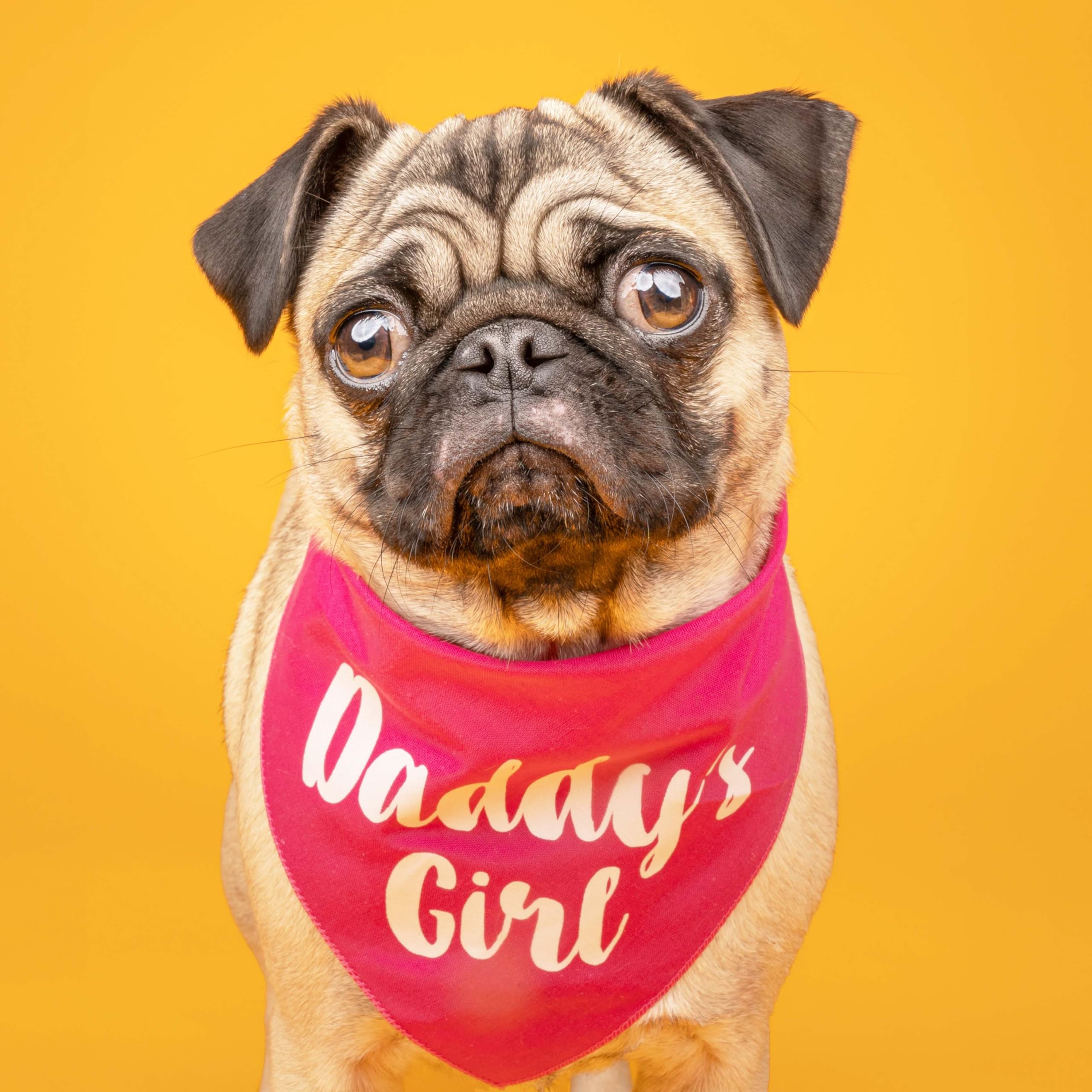 Daddy'S Girl Father'S Day Dog Bandana (Green, Xs 5)