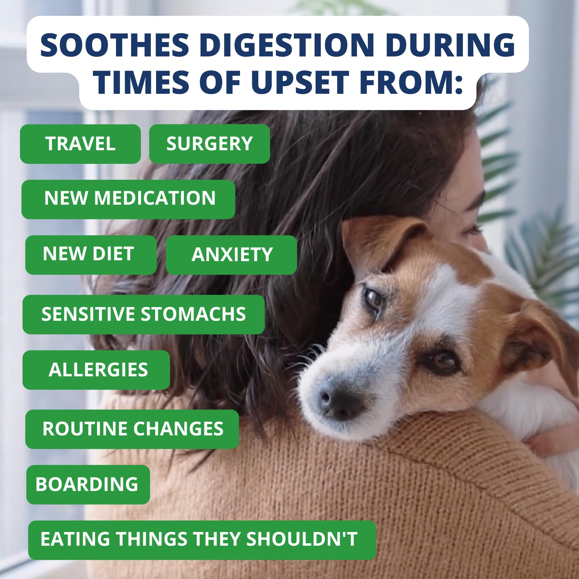 Under the Weather Bland Diet for Dogs | Easy to Digest for Sick Dogs |Always Be Ready| Contains Electrolytes - Natural Freeze Dr
