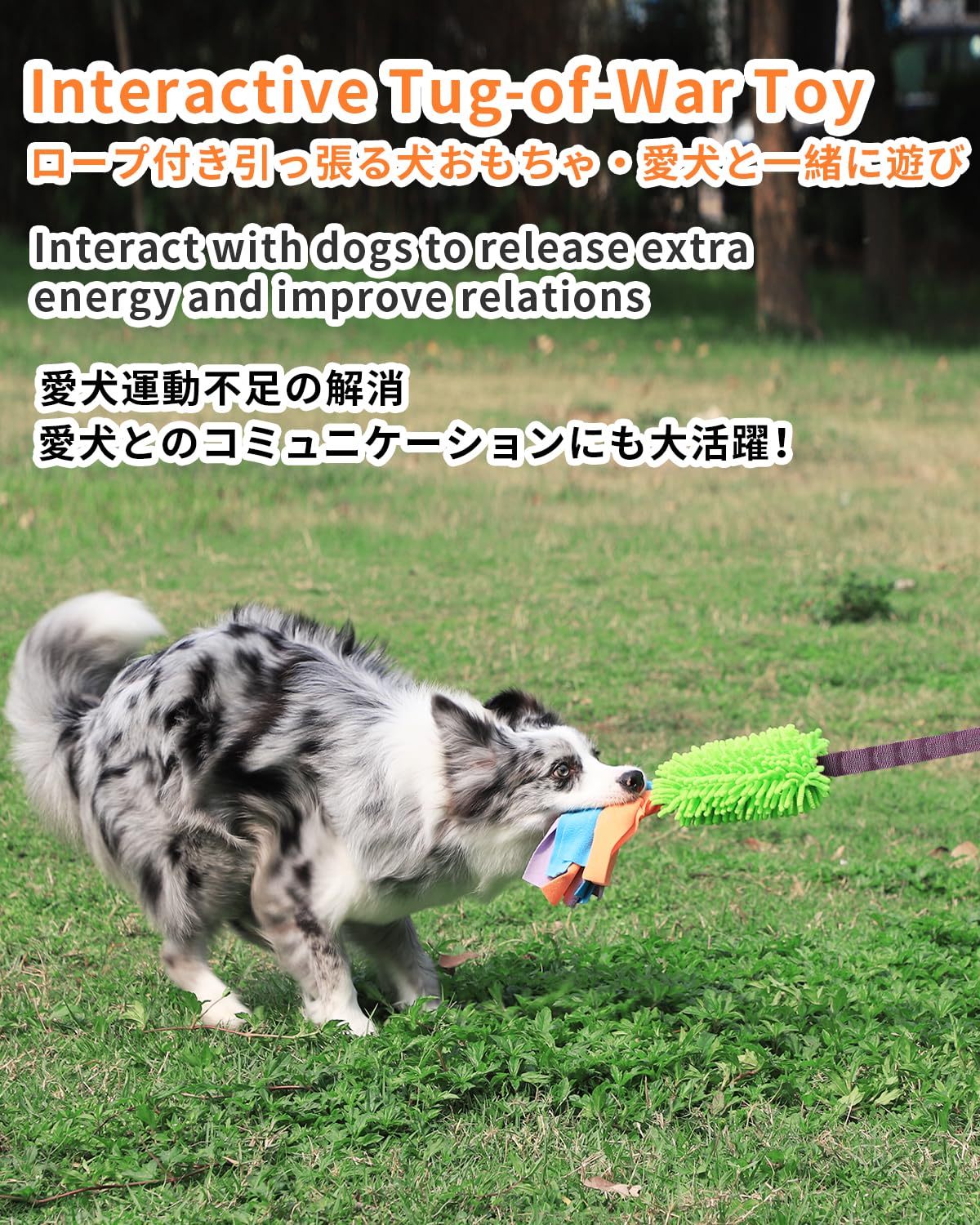 Schitec Dog Tug Toy, [2 Pack] Interactive Play Training Bungee Rope, Squeaky Tug Of War Exercise Pull Toys For Puppy Small Mediu