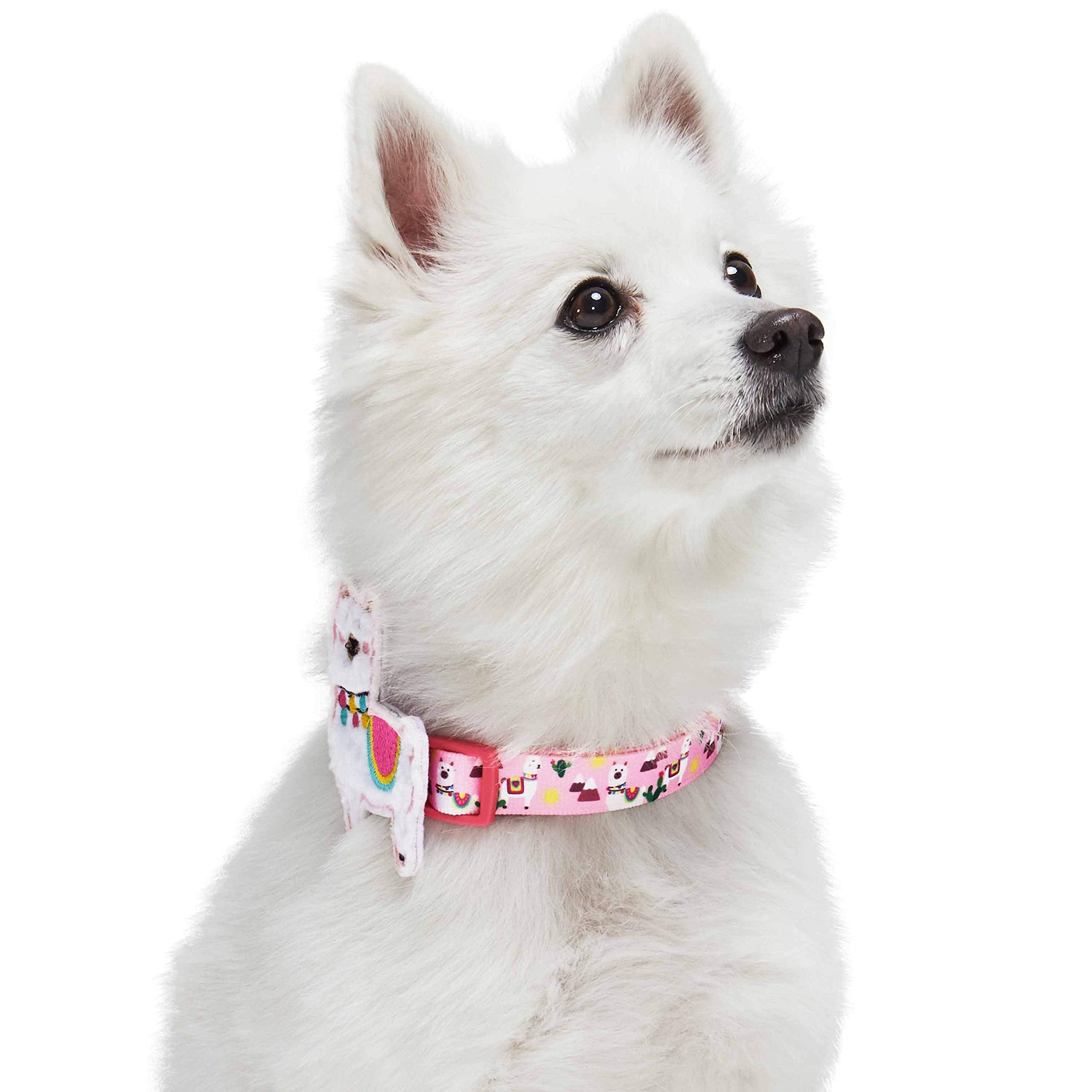 Blueberry Pet Happy Llamas Adjustable Dog Collar With Detachable Décor, Medium, Neck 14.5'-20'
