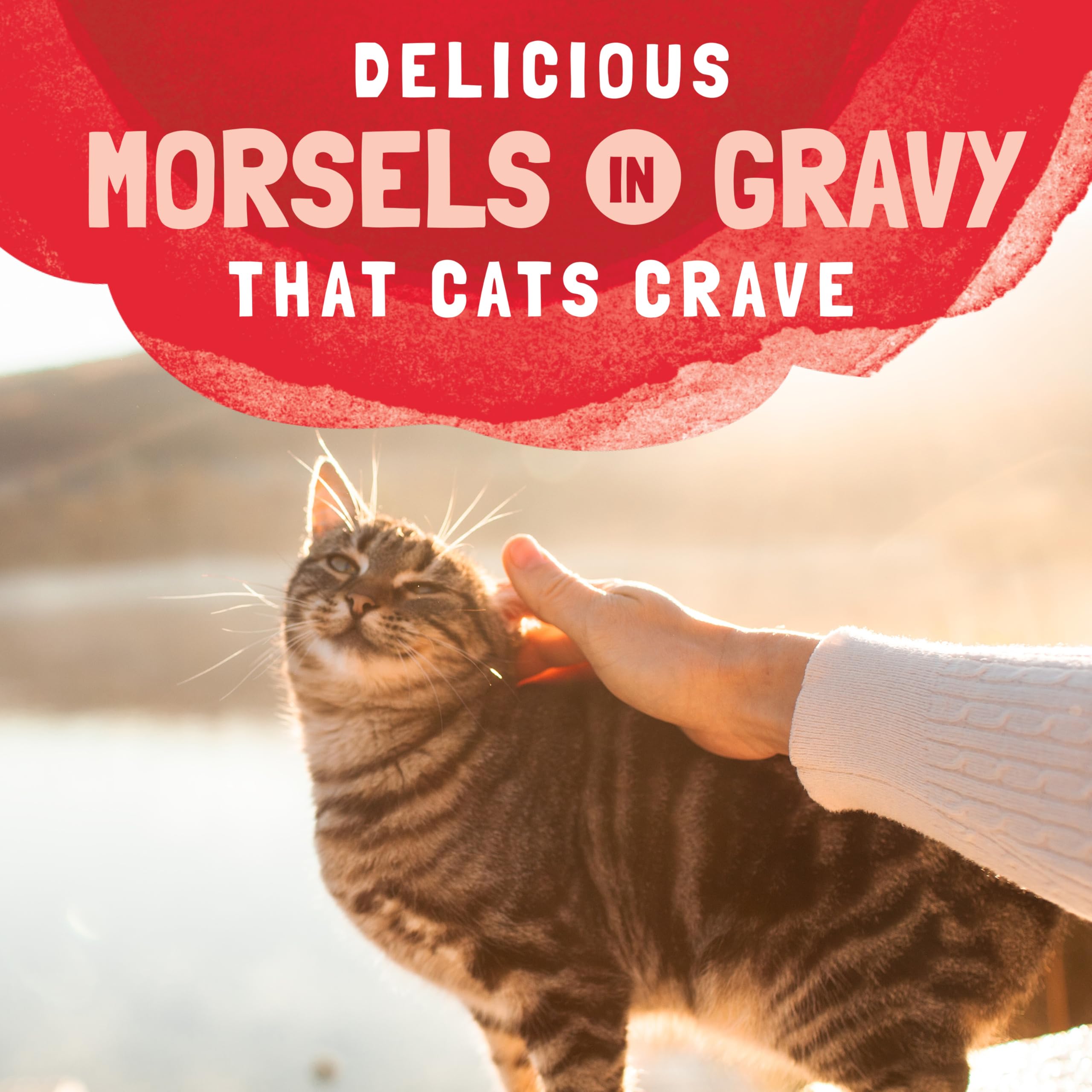 Natural Balance Original Ultra Platefulls Adult Grain-Free Wet Cat Food, Salmon, Tuna & Crab Recipe in Gravy, 3 Ounce Pouch (Pac