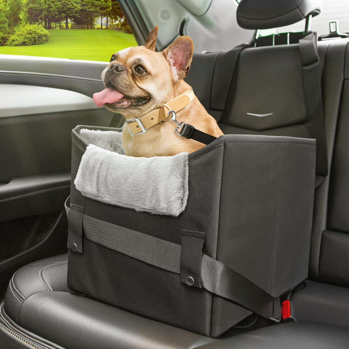 Novolab Dog Car Seat For Small Dogs Or Medium Size Dog Portable Car Booster Seat For Dogs With Harness And Thick Cushion, Perfec