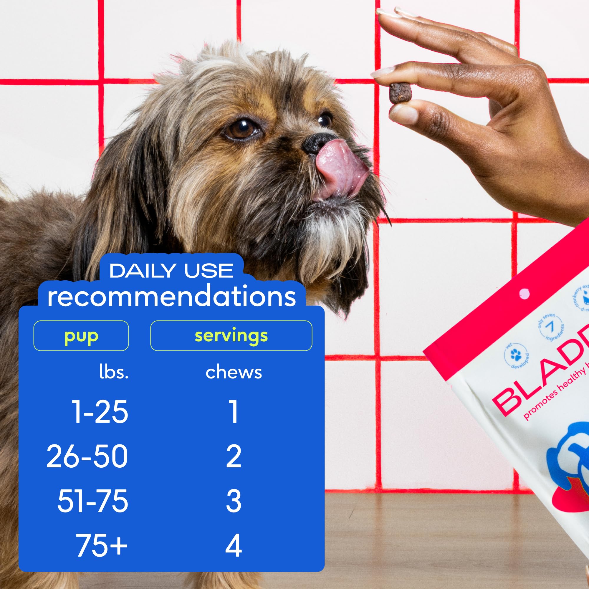 Native Pet Dog UTI Treatment - Cranberry Supplement for Dogs Bladder Control & Kidney Support - Prevent Urinary Tract Infection