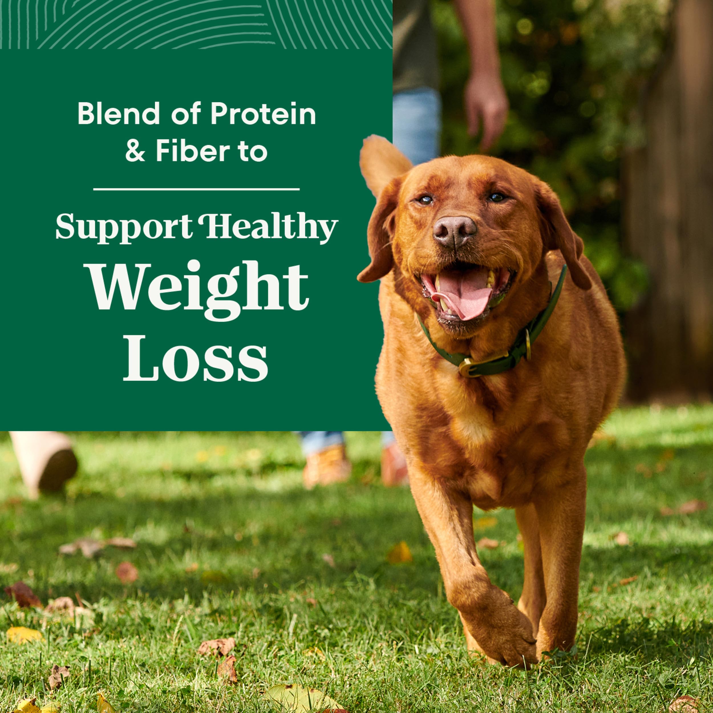 Nutro Natural Choice Adult Healthy Weight Dry Dog Food, Lamb and Brown Rice Recipe, 30 lbs.
