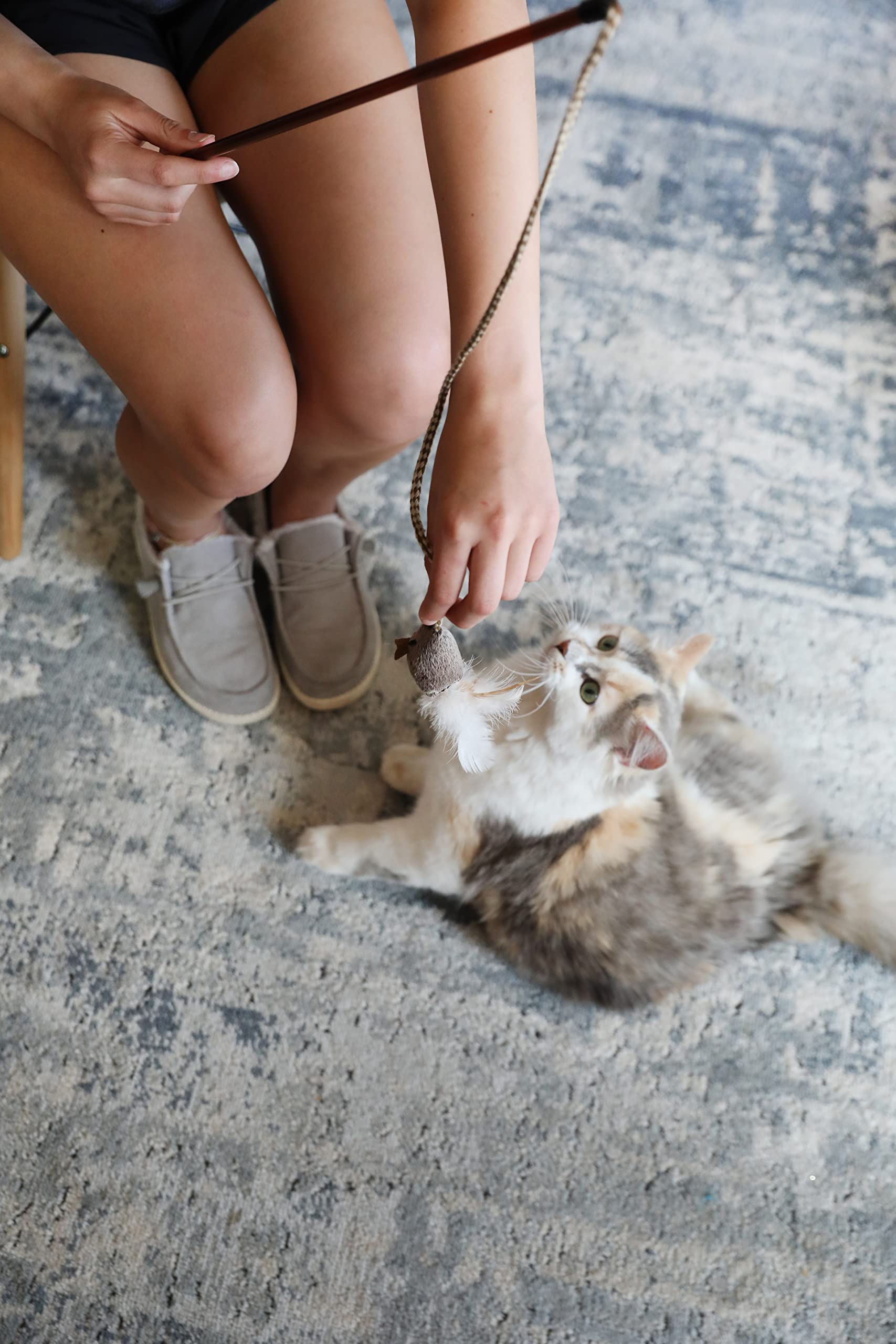 Ourpets Play-N-Squeak Teathered & Feathered Play Wand Cat Toy, For All Breed Sizes