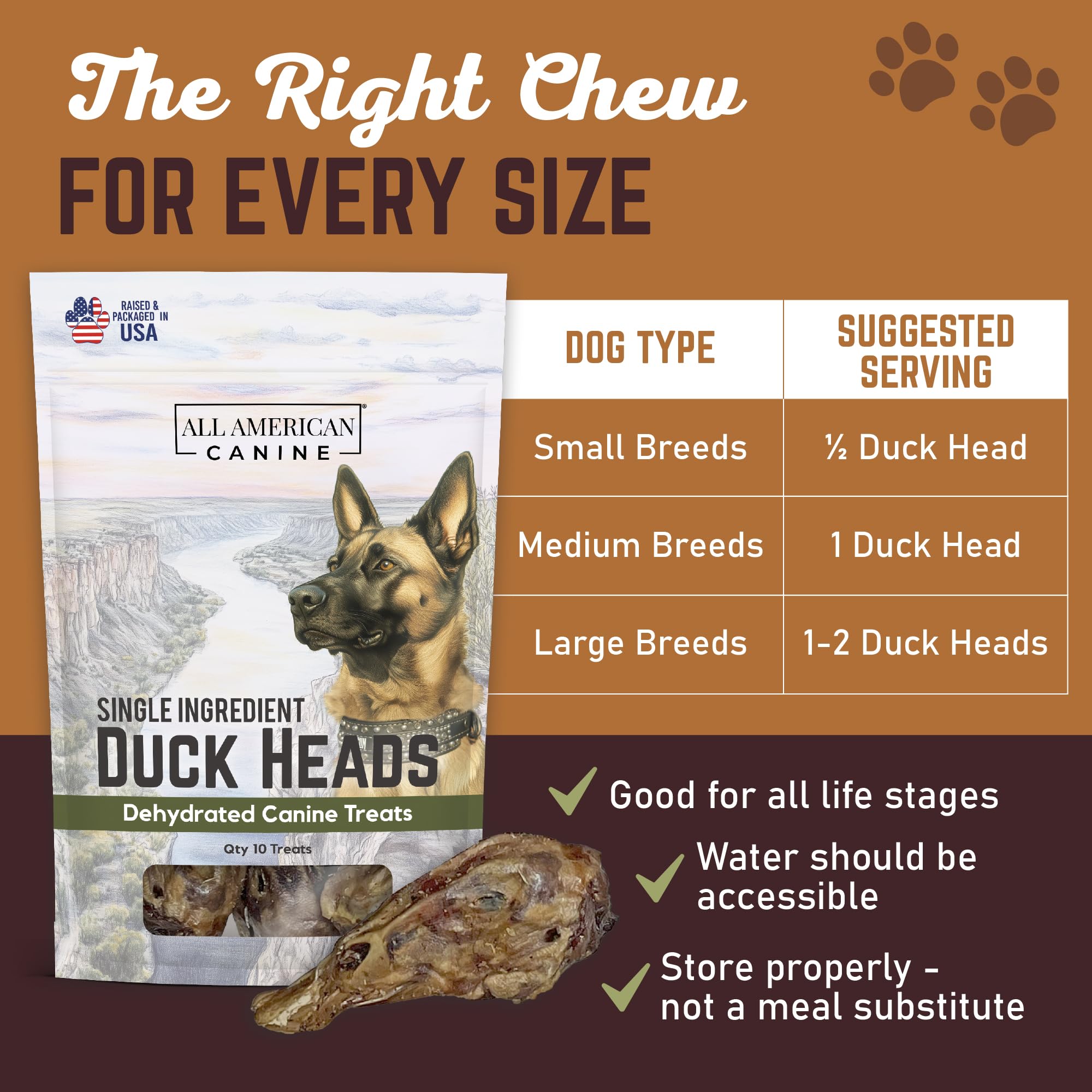 All American Canine Duck Head Dog Treats - Dehydrated, Low-Fat, High-Protein, 10 Count, Made in USA