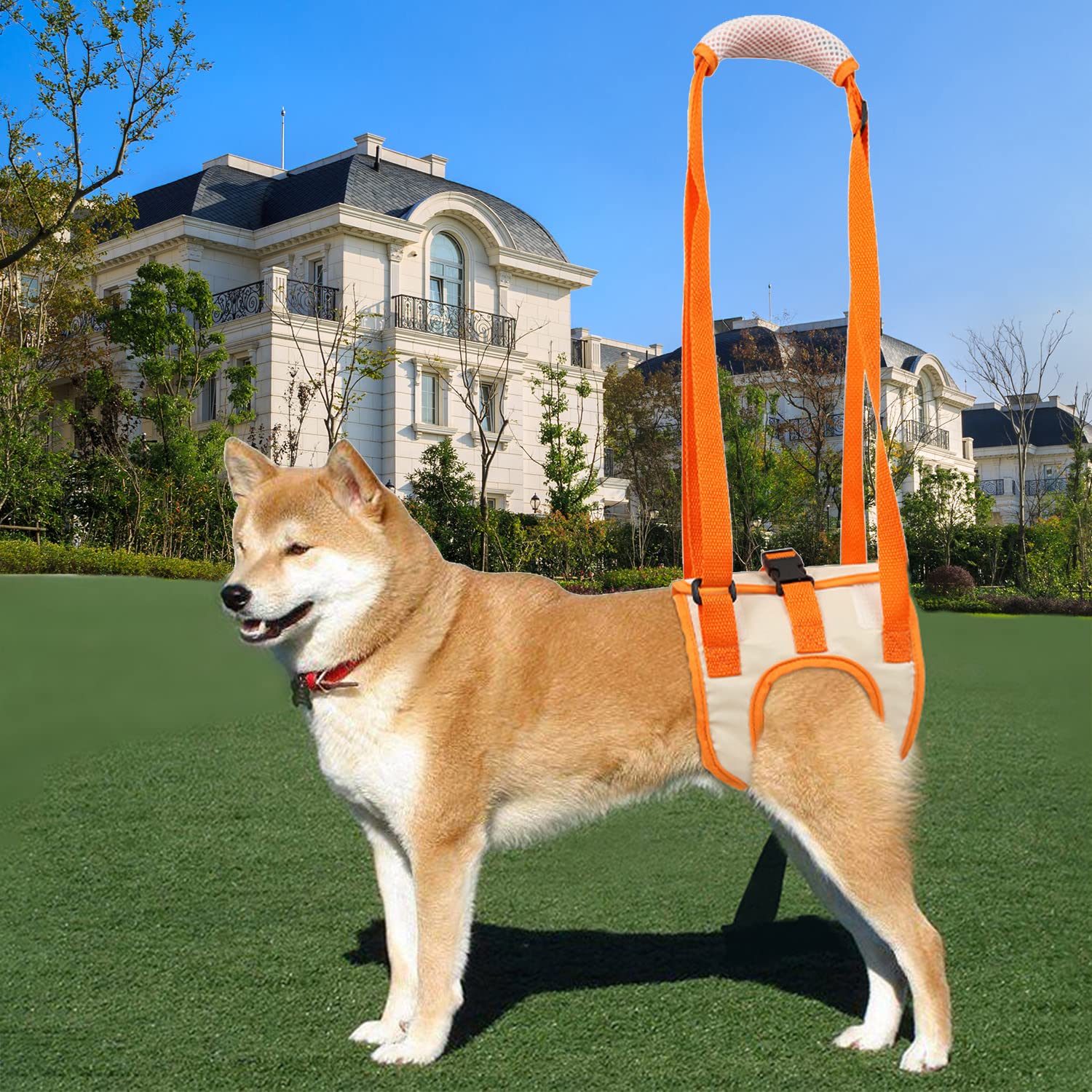 Qiyadin Dog Support Harness For Back Legs, Dog Sling For Small Medium Large Dogs Hind Leg Support, Dog Lifter For Rear Legs Mobility And Elderly Dogs (Orange, L)