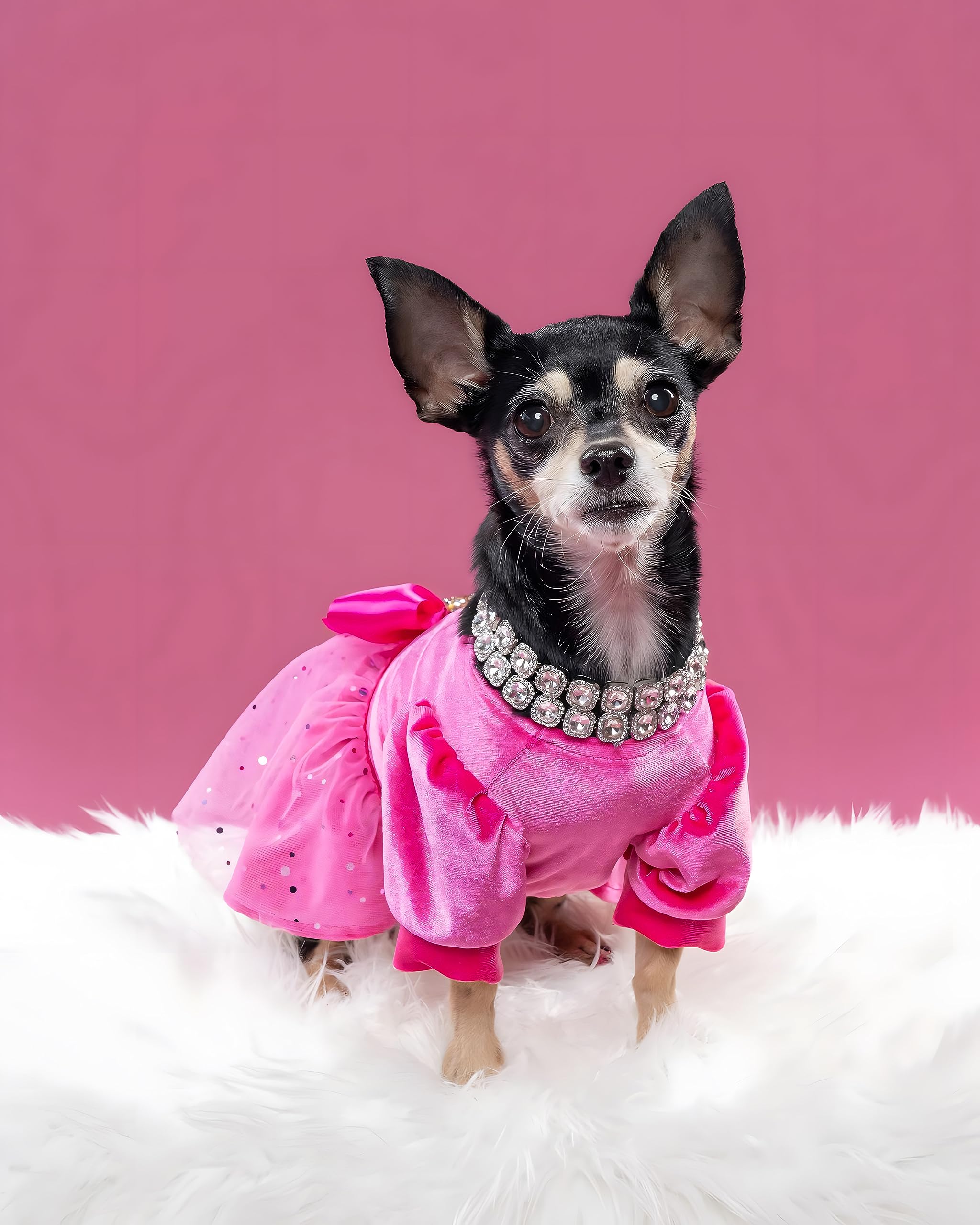 Fitwarm Fancy Dog Tulle Dress, Dog Winter Clothes For Small Dogs Girl, Female Pet Birthday Outfit, Lightweight Velvet, Pink, Med