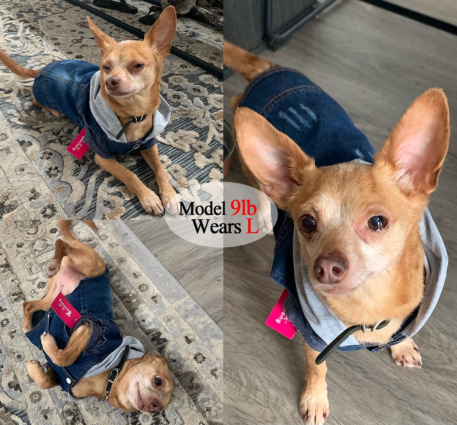 Pet Clothes Dog Jeans Jacket Cool Blue Denim Hoodie Coat, Puppy Clothing Shirt Costume, Doggy Vintage Lapel Vest, Dog Classic T-