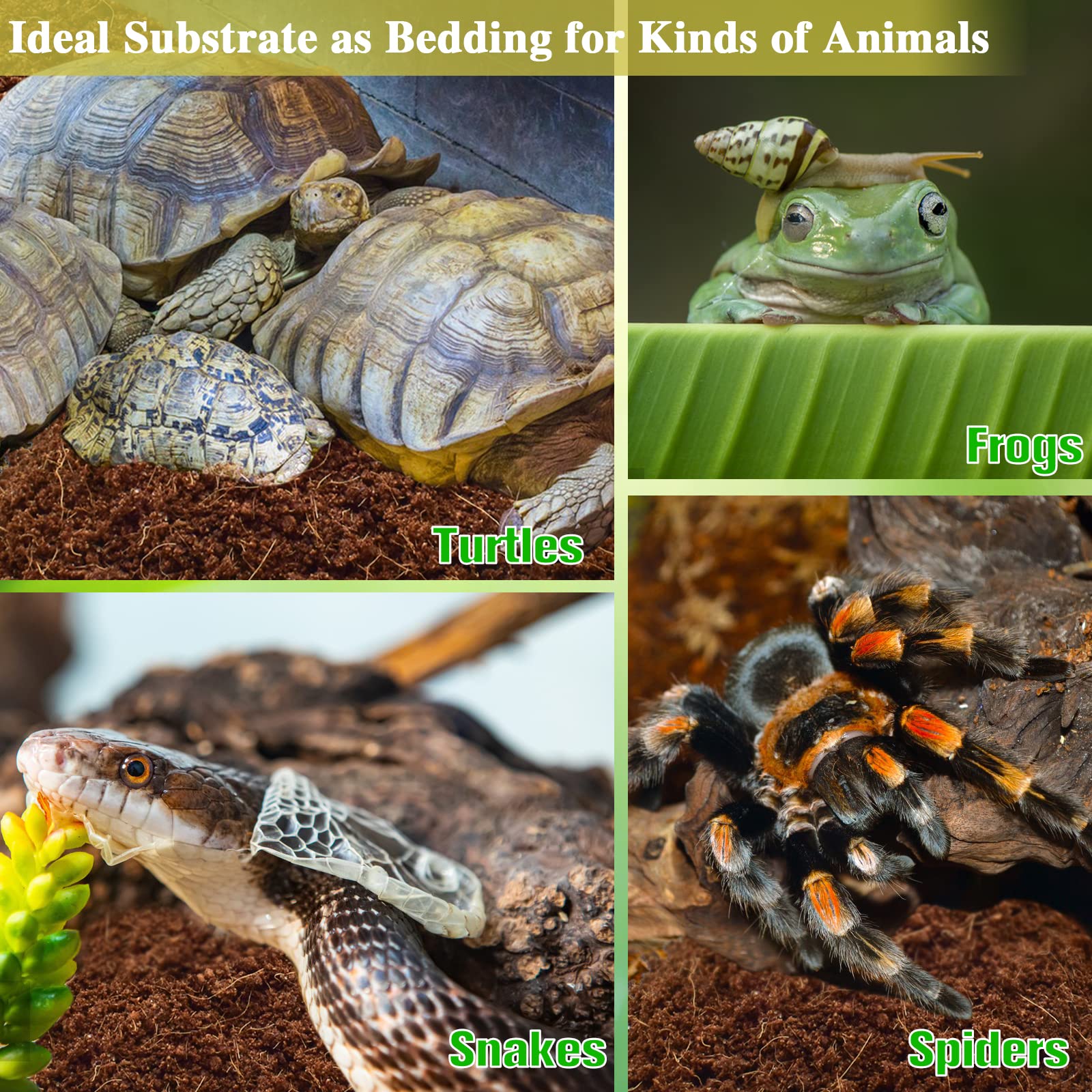 Zeedix 6Pcs Compressed Coconut Fiber Substrate For Reptiles, 100% Organic Coco Coir Fiber Brick Substrate Fluffy Bearded Dragon