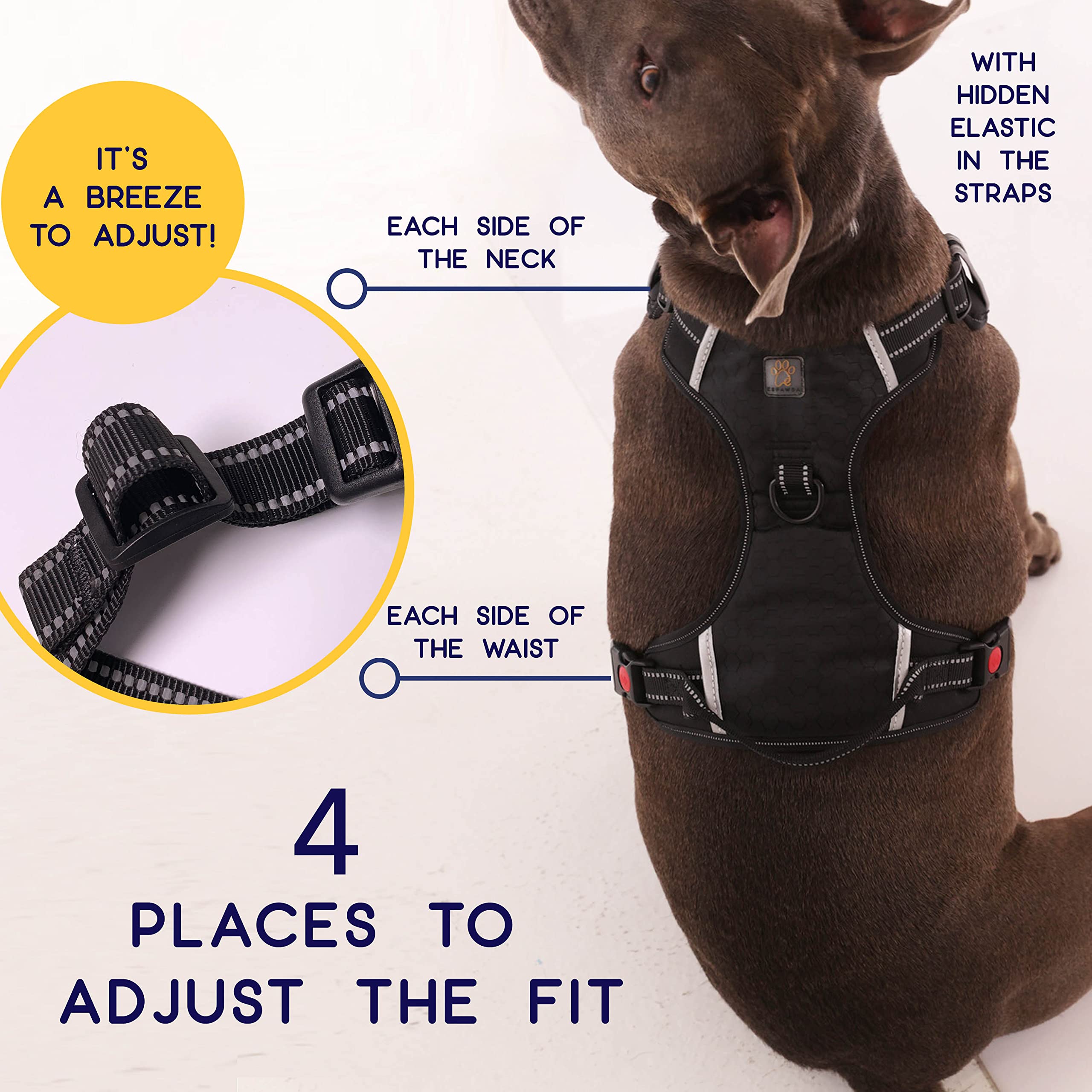 Espawda Padded Comfort Harness With No Pull Design For Small Dogs, Medium Dogs And Big Dogs (Medium, Capri Blue)