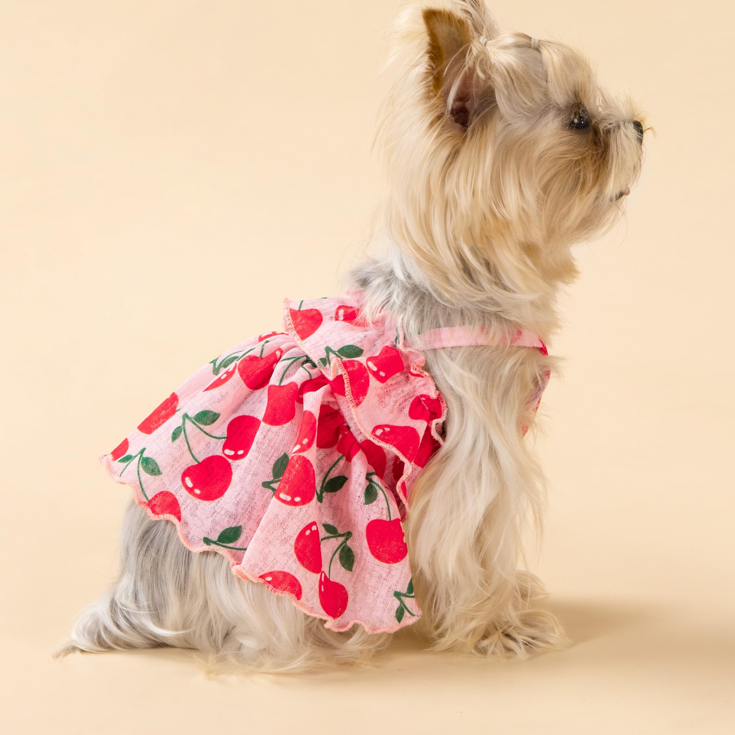 Fitwarm Cherry Dog Dress, Dog Clothes For Small Dogs Girl, Ruffled Hawaiian Dog Dress, Female Pet Outfit, Pink, Red, Xs