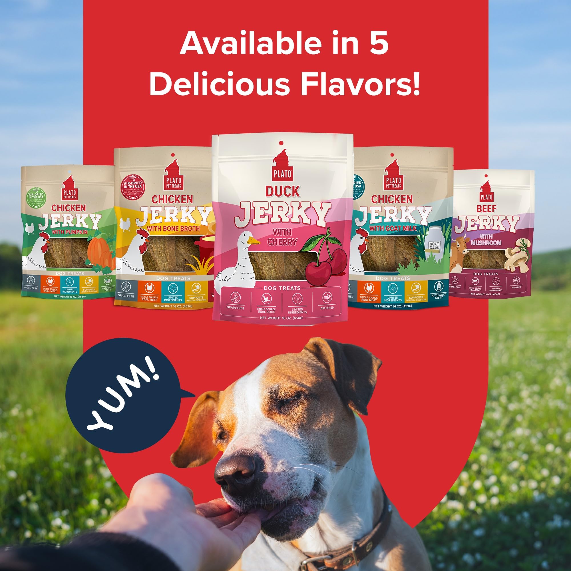 Plato Pet Treats - Air-Dried Jerky - Delicious, Real Meat Dog Treats - Grain Free - Supports Healthy Digestion - Duck with Cherr